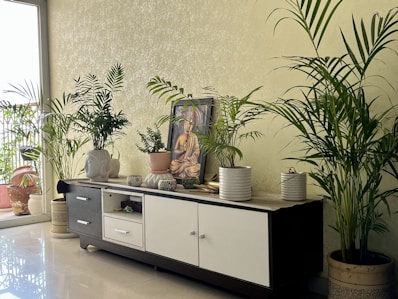 a room with potted plants
