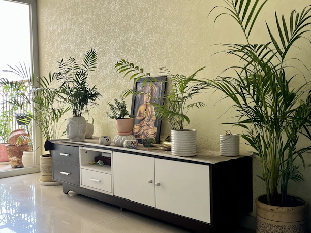 a room with potted plants