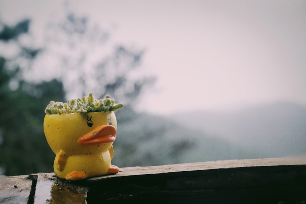 a rubber ducky on a ledge