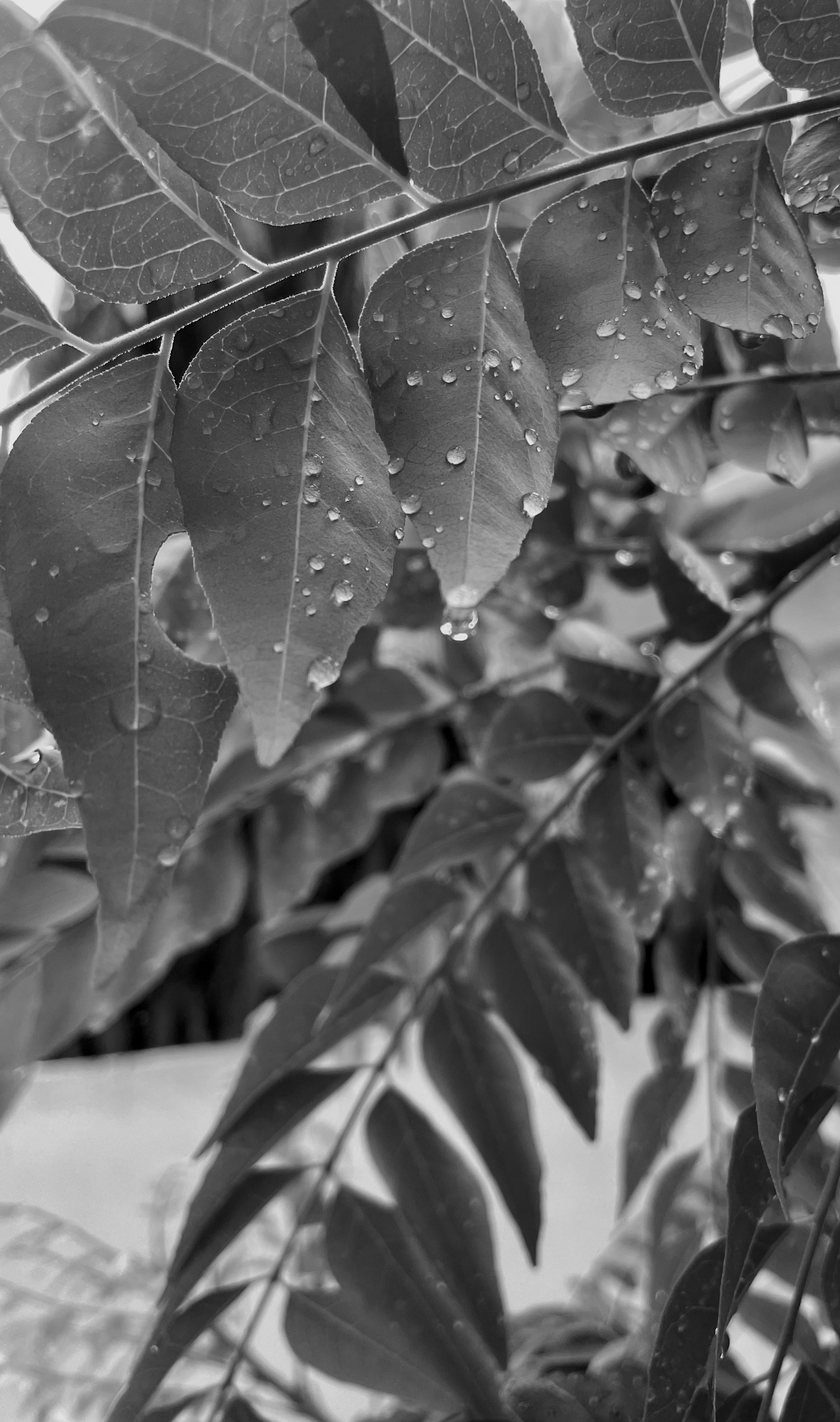 Photo by happyismyliife