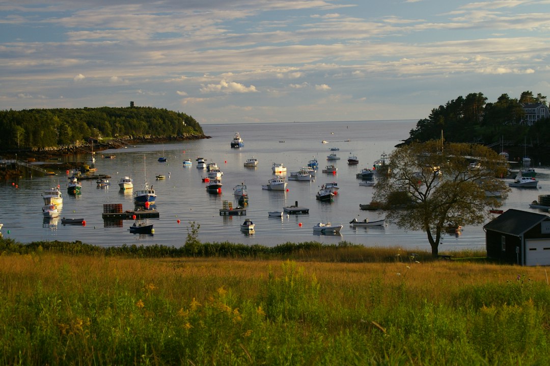 a body of water with boats on it, Bay on the ocean for boats to moor