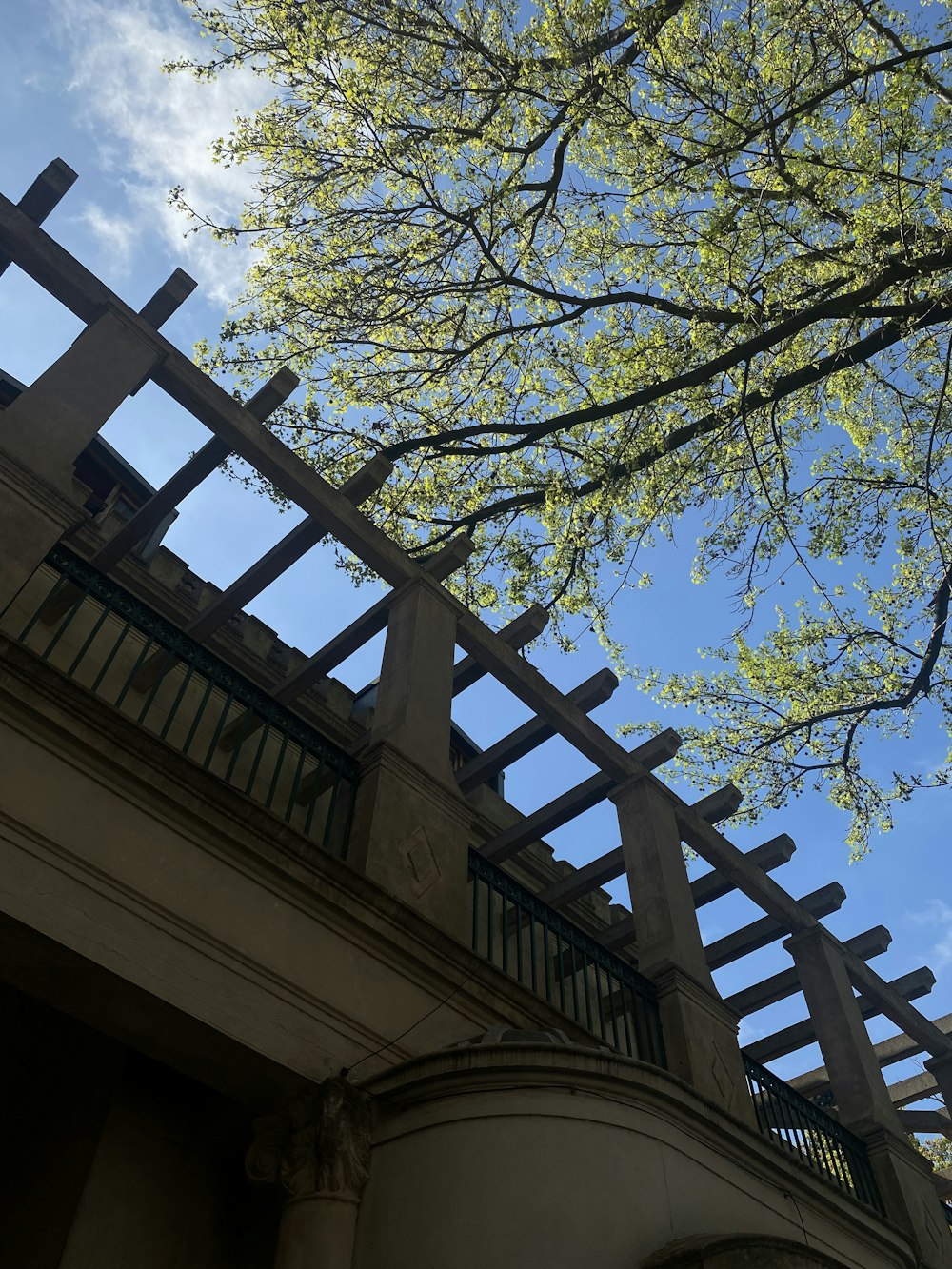 a tree next to a building