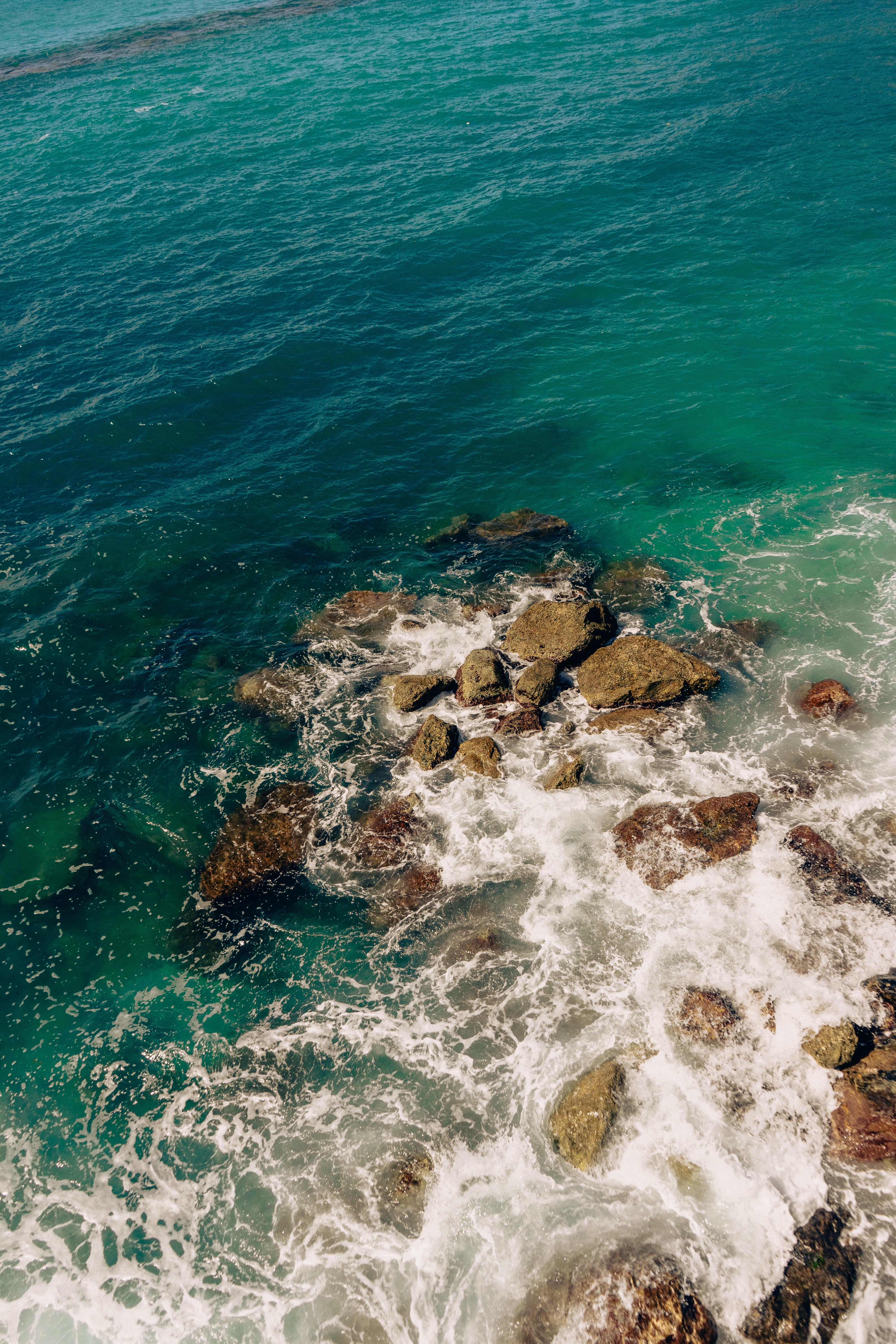 Photo by virussinside