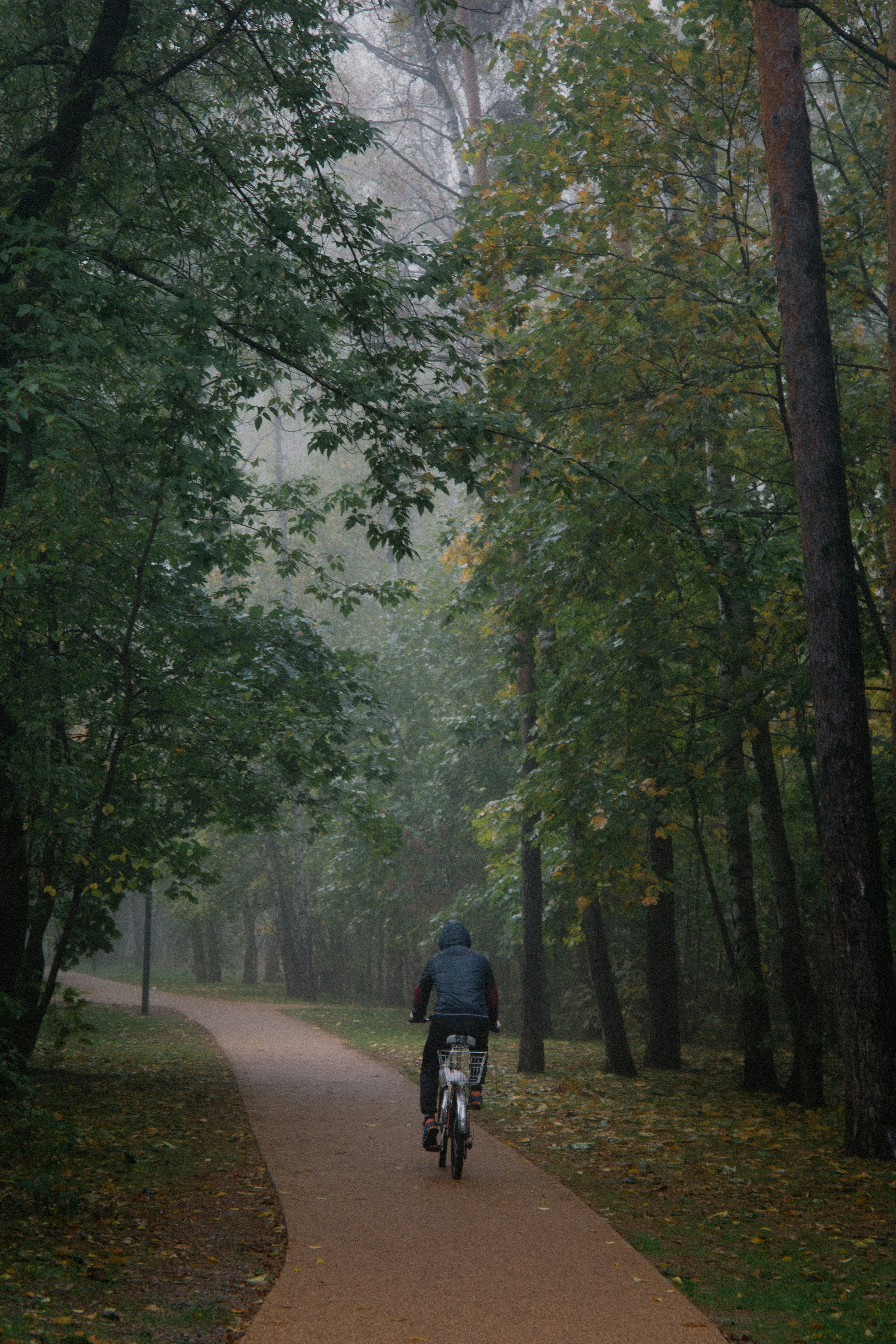 a person riding a bicycle on a path surrounded by trees