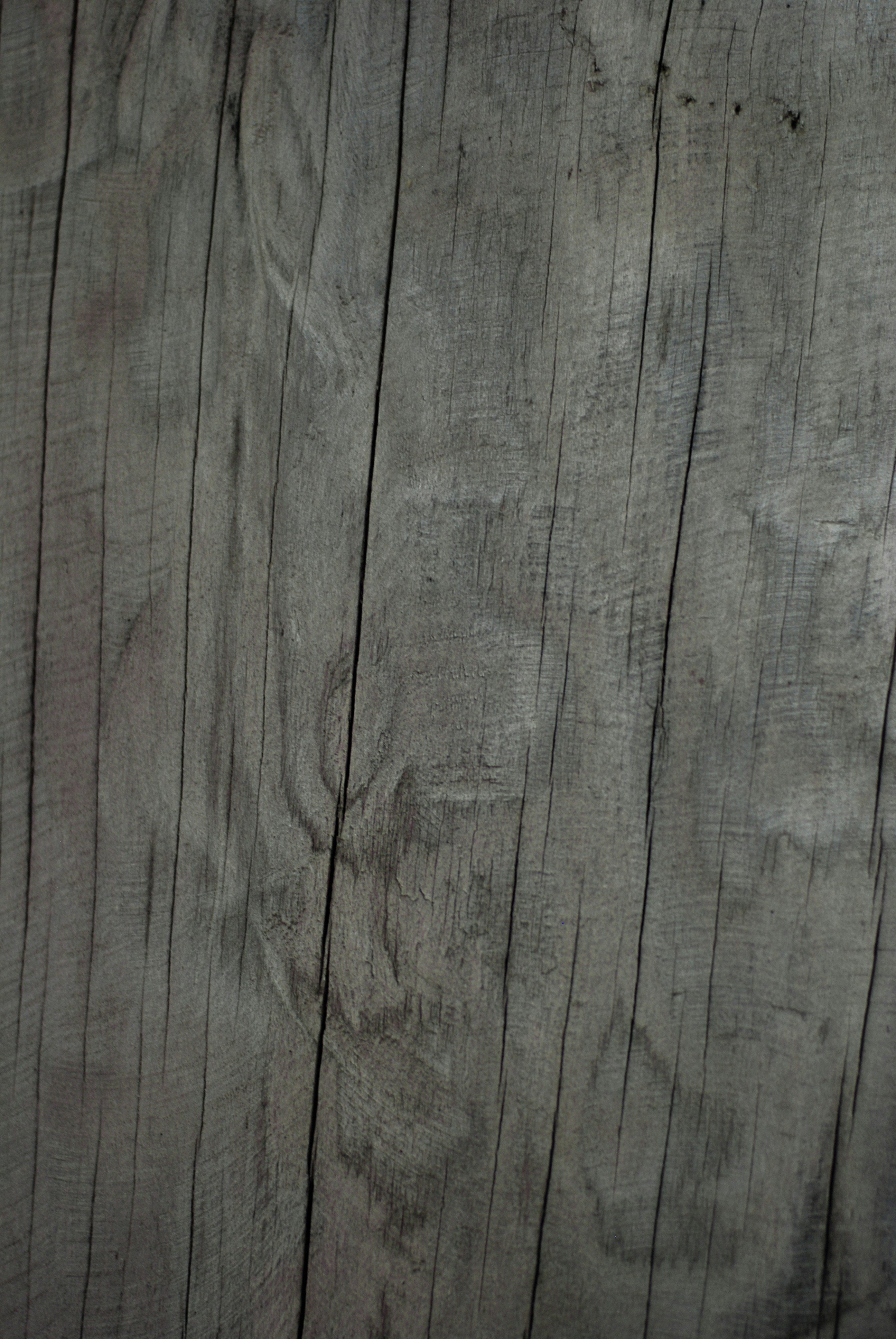 Photo by kovalskihelga