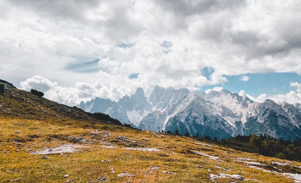 a field with a mountain in the background