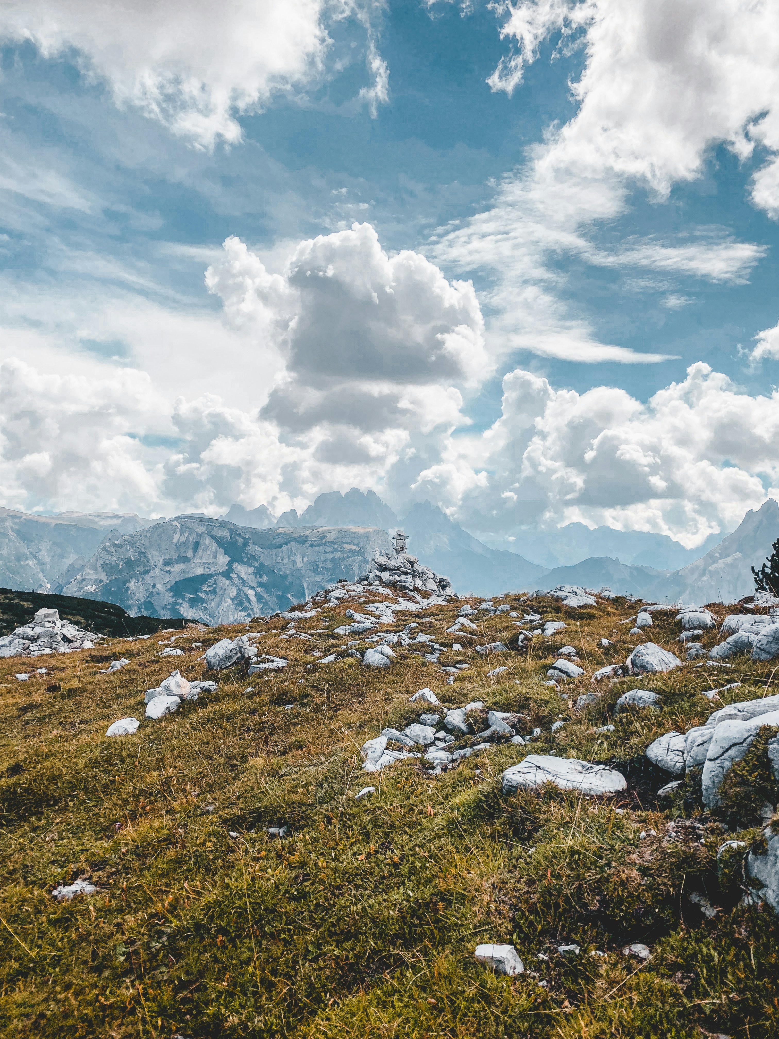 Photo by laurachouette