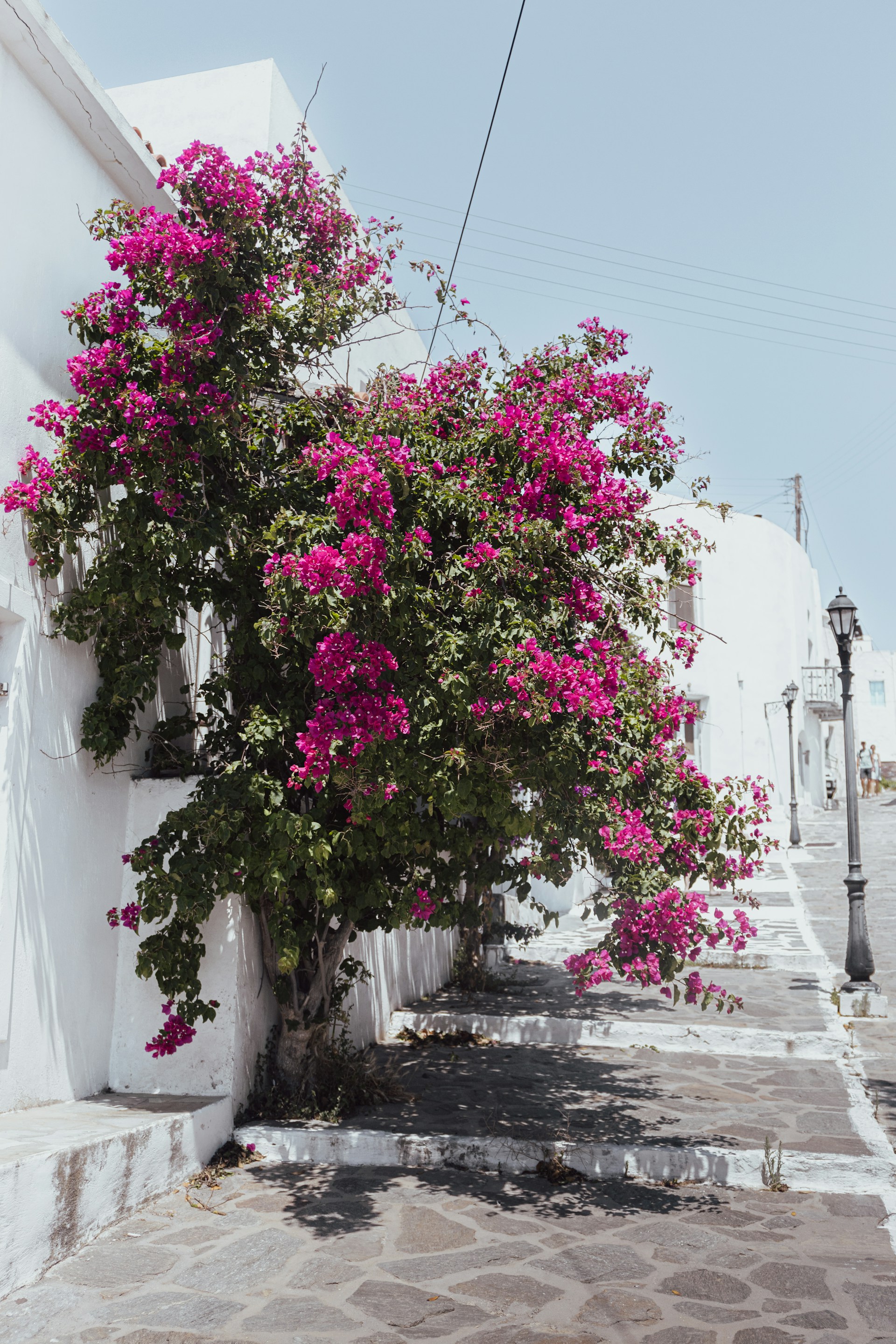 woman wearing yellow long-sleeved dress under white clouds and blue sky during daytime