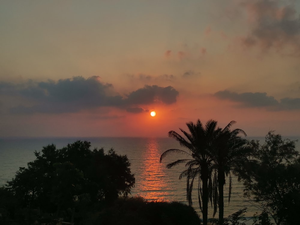 a sunset over a tropical beach