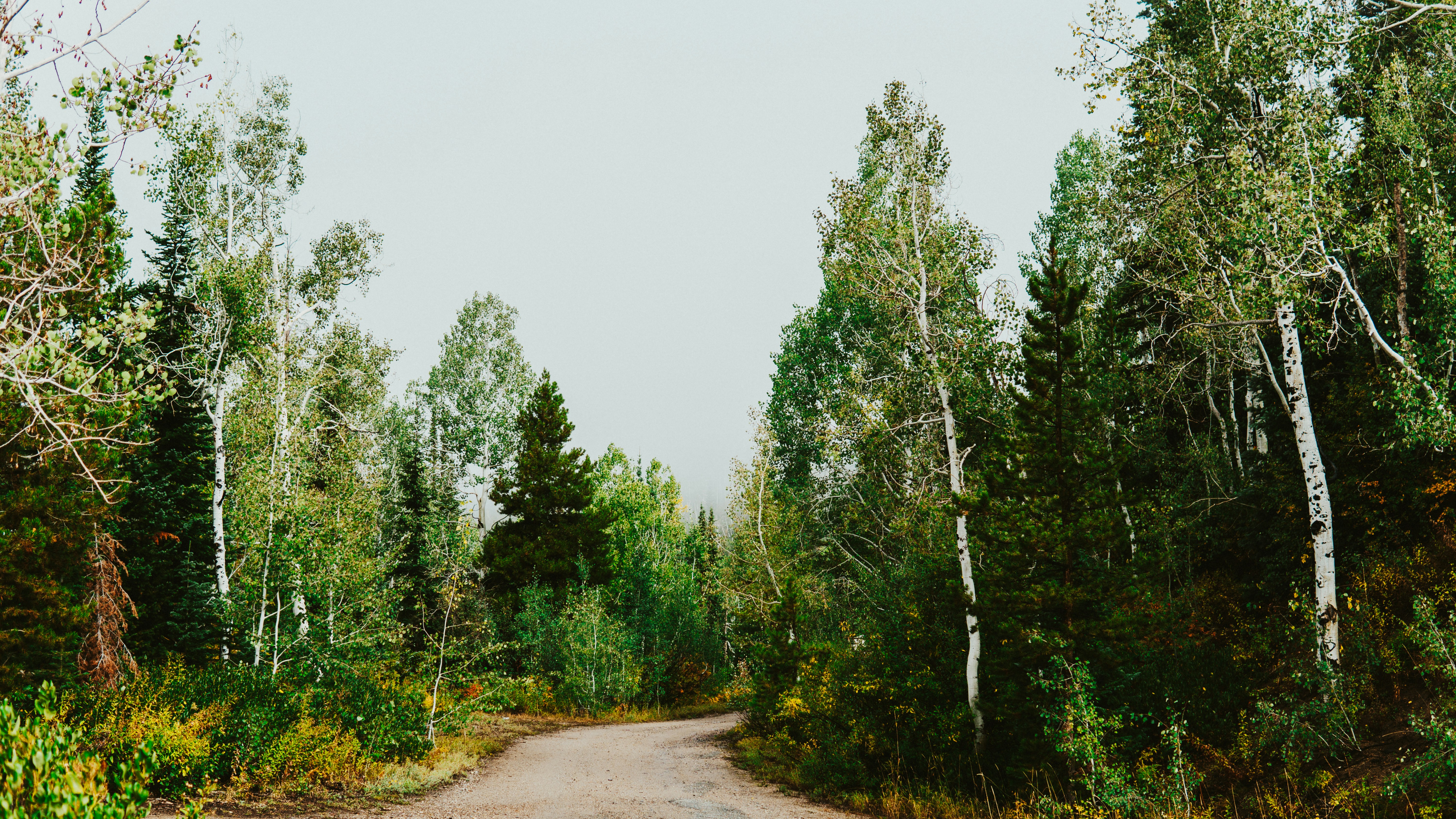 Photo by nickfuentes_