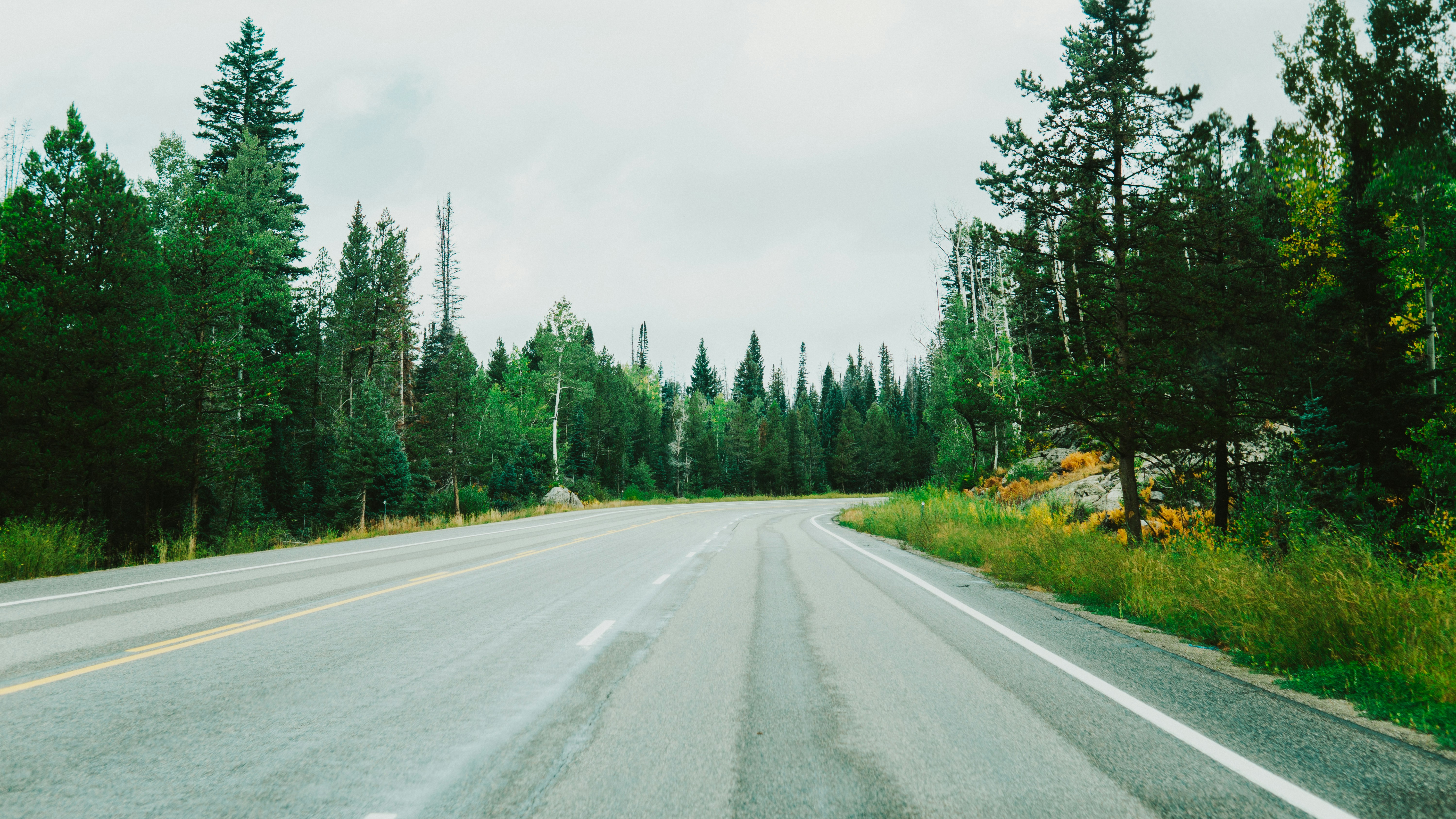 Photo by nickfuentes_