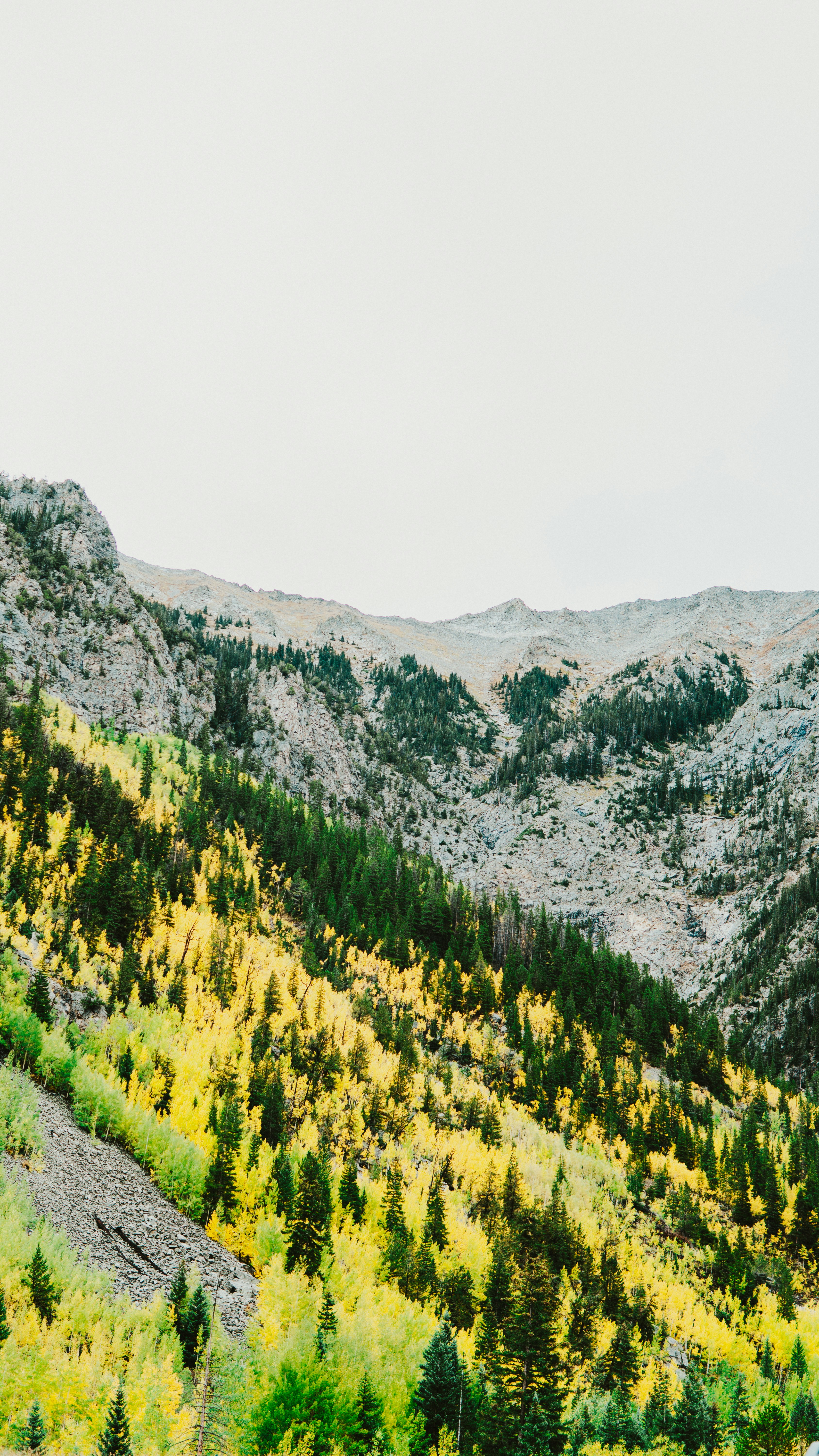 Photo by nickfuentes_