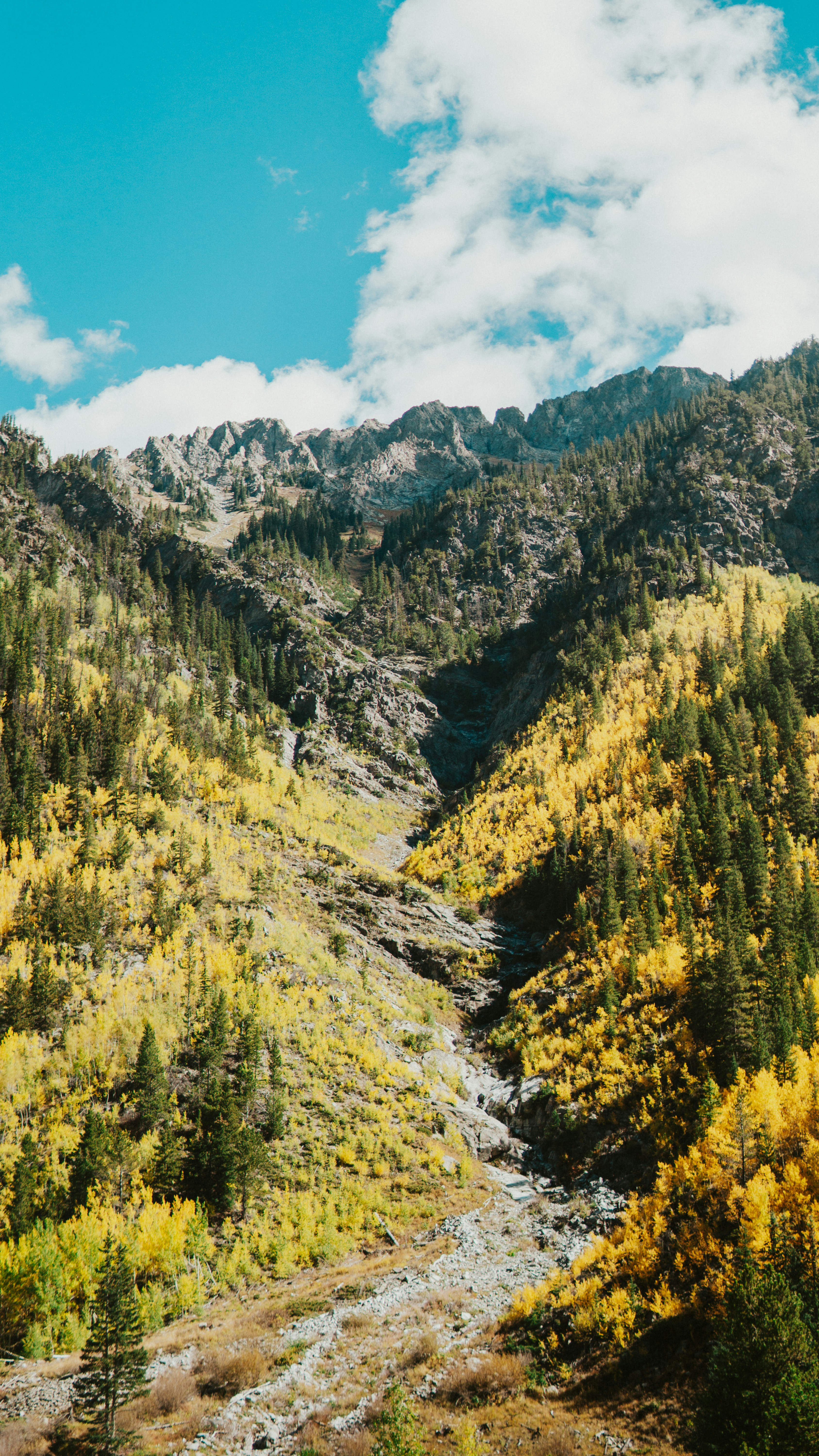 Photo by nickfuentes_