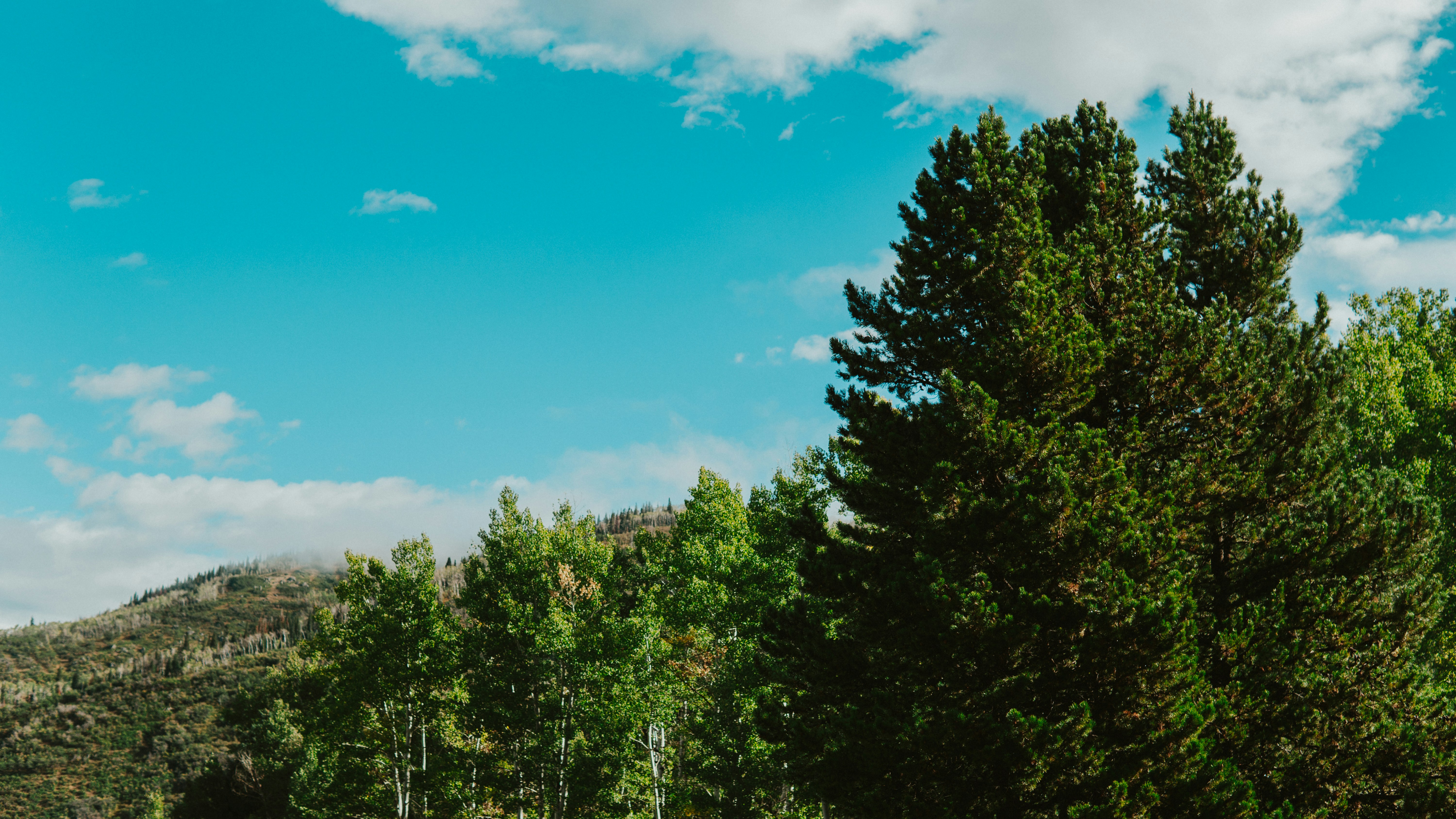 Photo by nickfuentes_