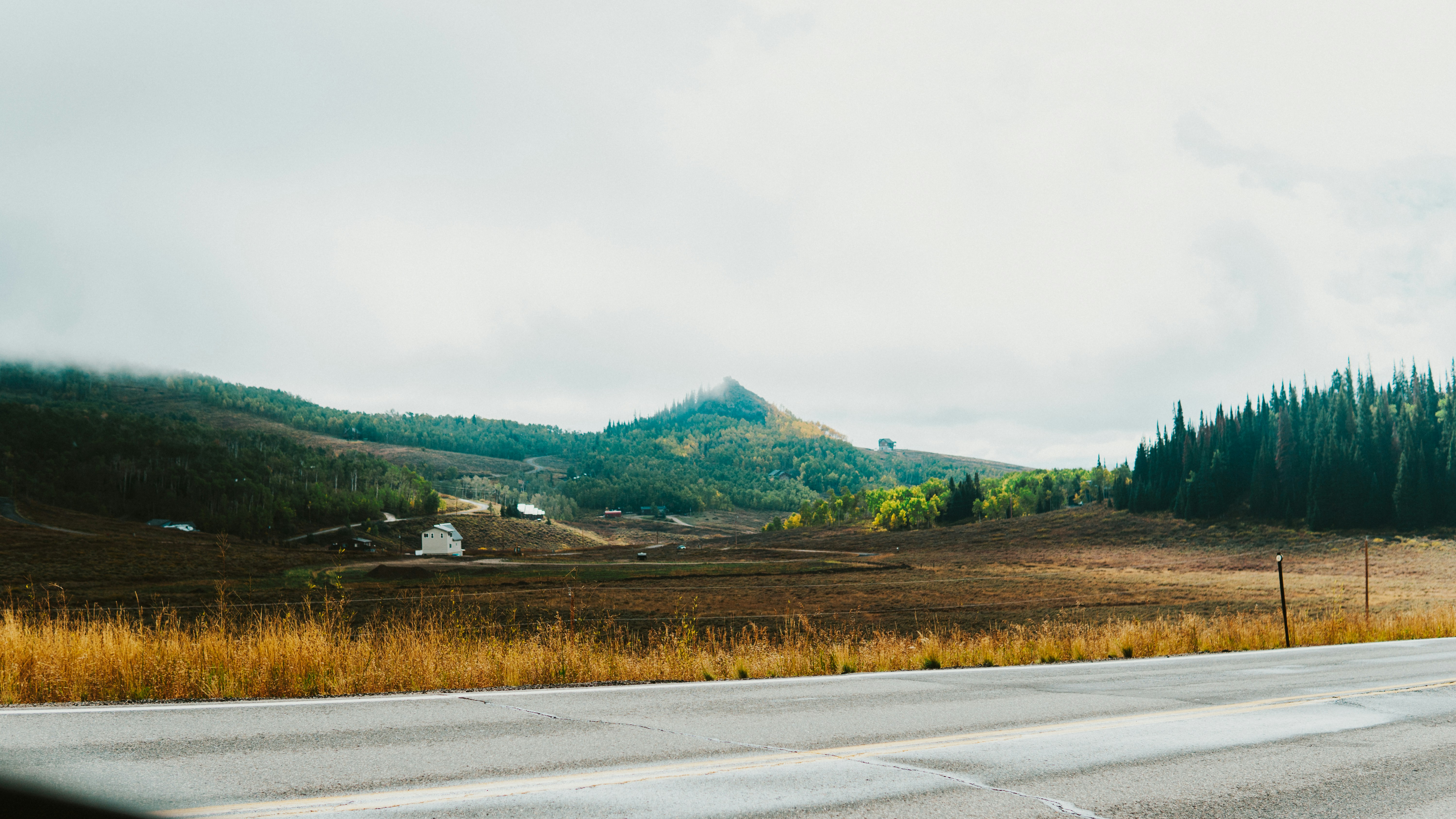 Photo by nickfuentes_