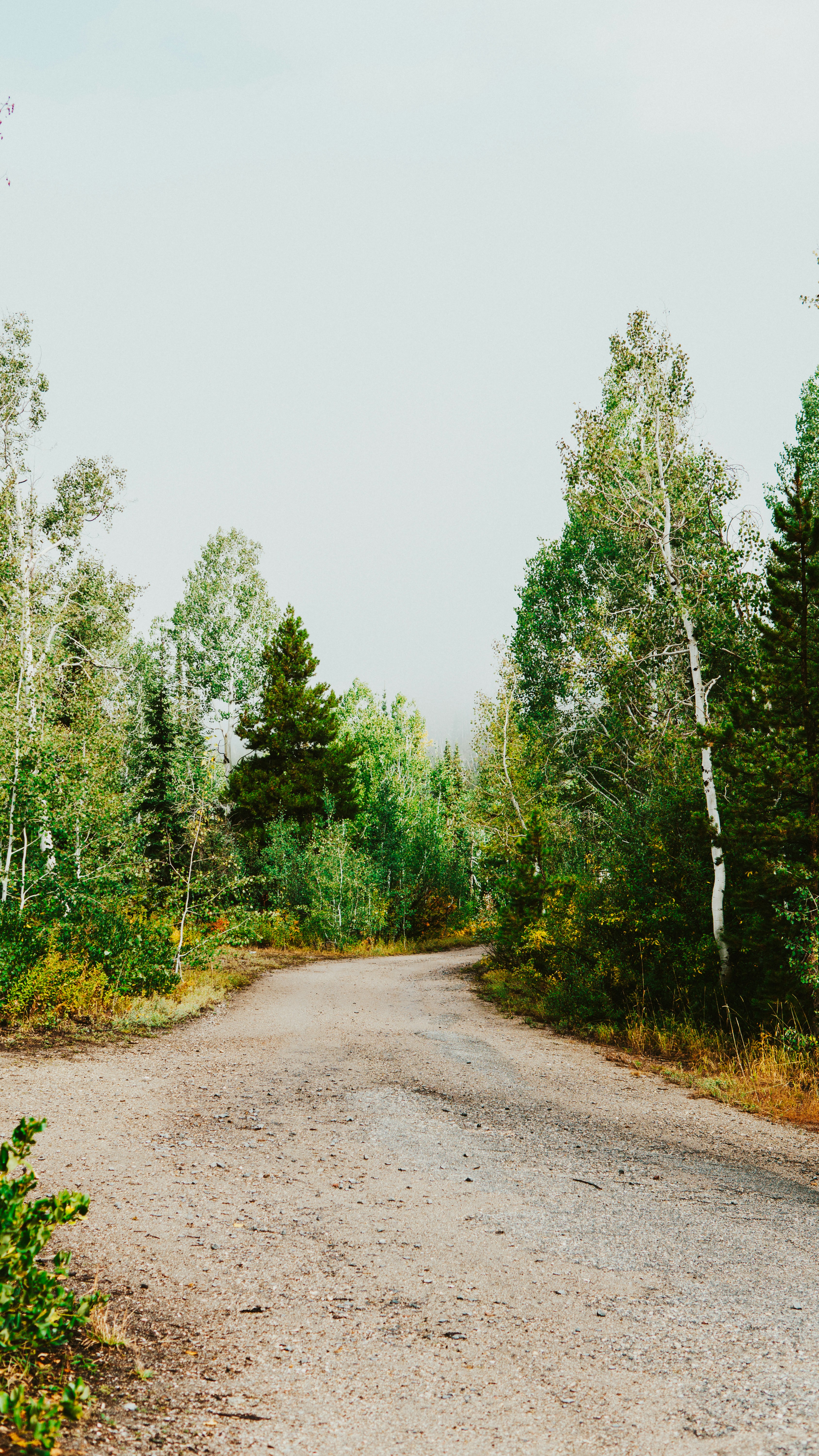 Photo by nickfuentes_