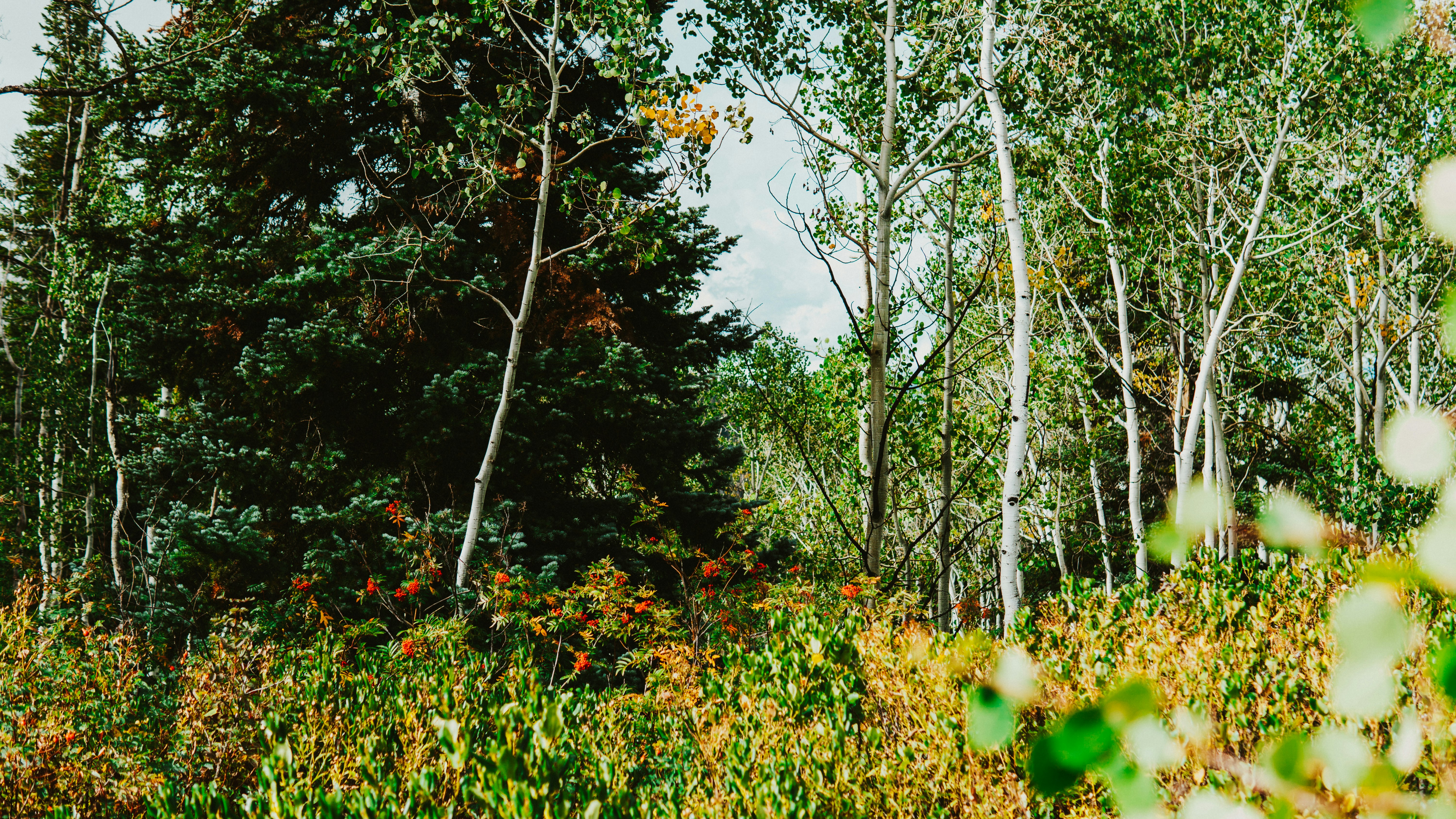 Photo by nickfuentes_