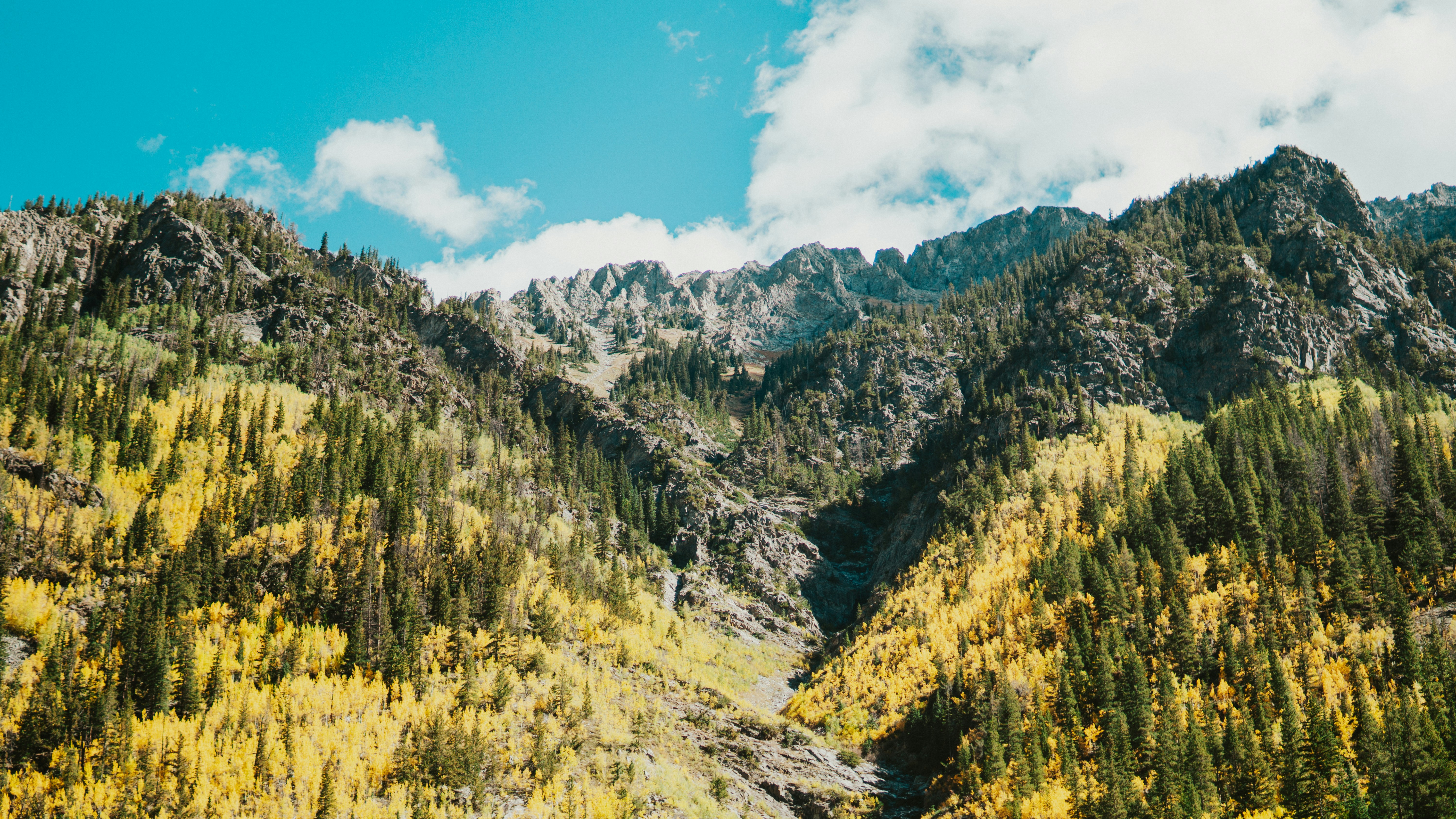 Photo by nickfuentes_