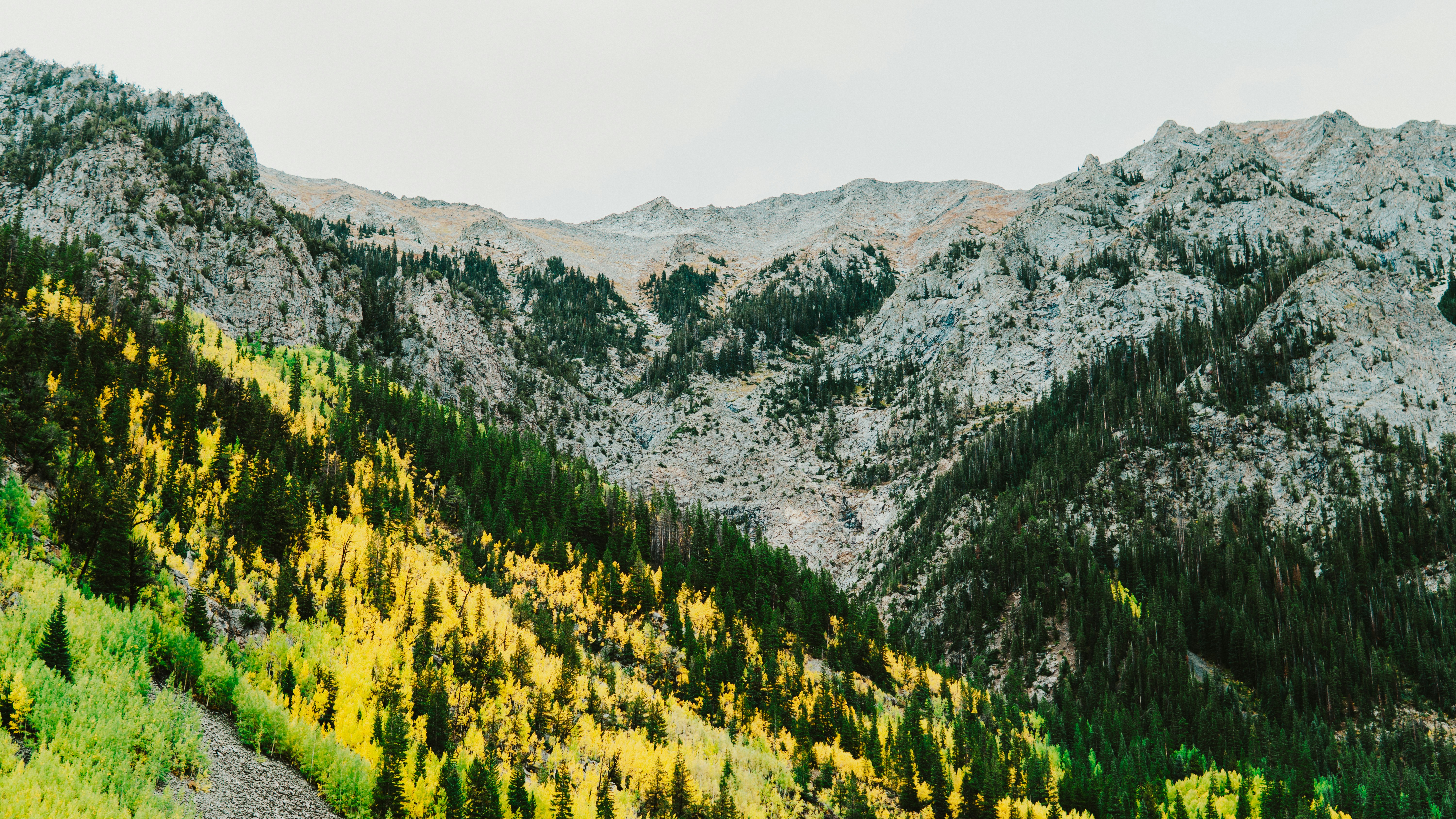 Photo by nickfuentes_