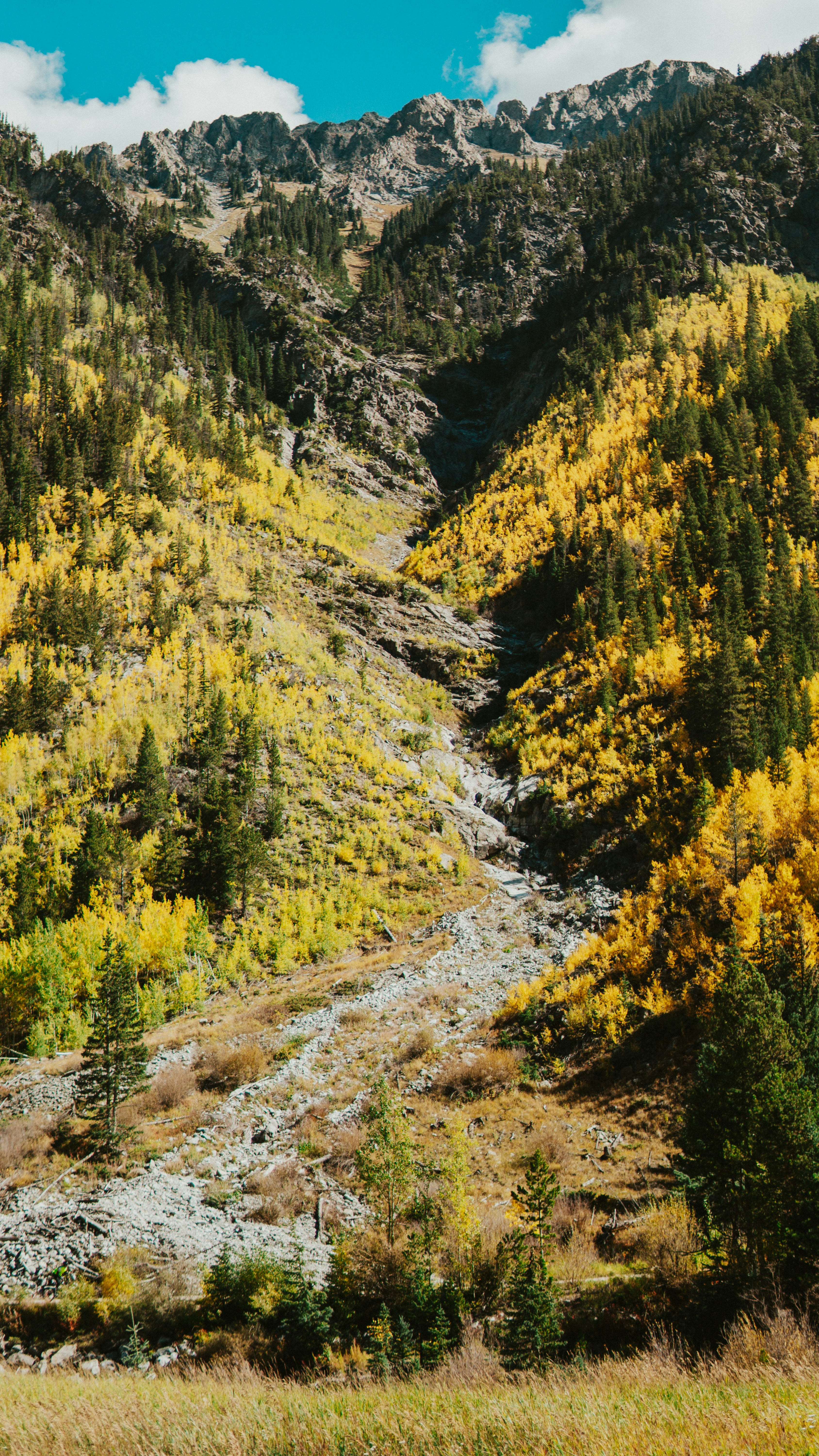 Photo by nickfuentes_