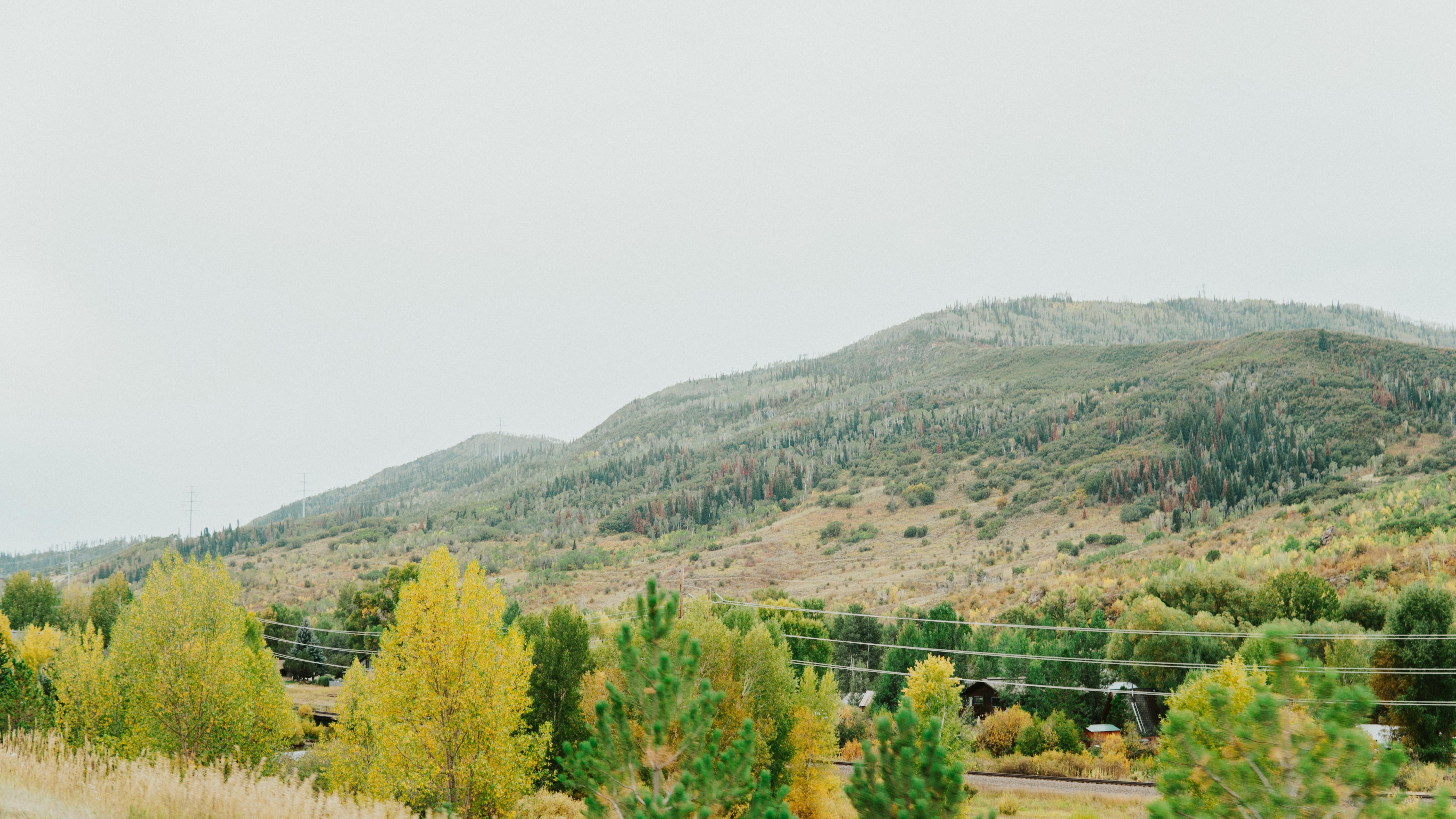 Photo by nickfuentes_