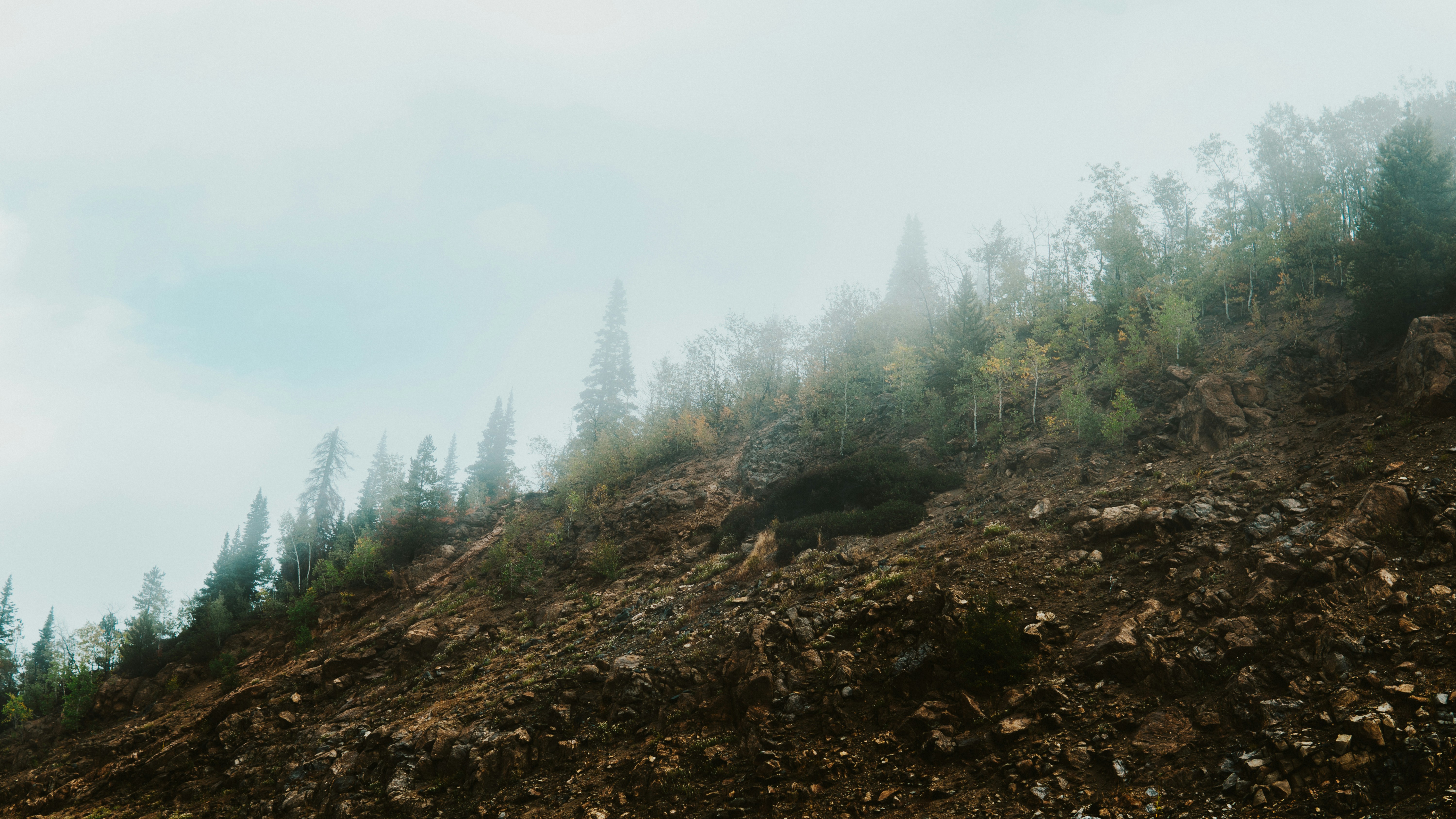 Photo by nickfuentes_