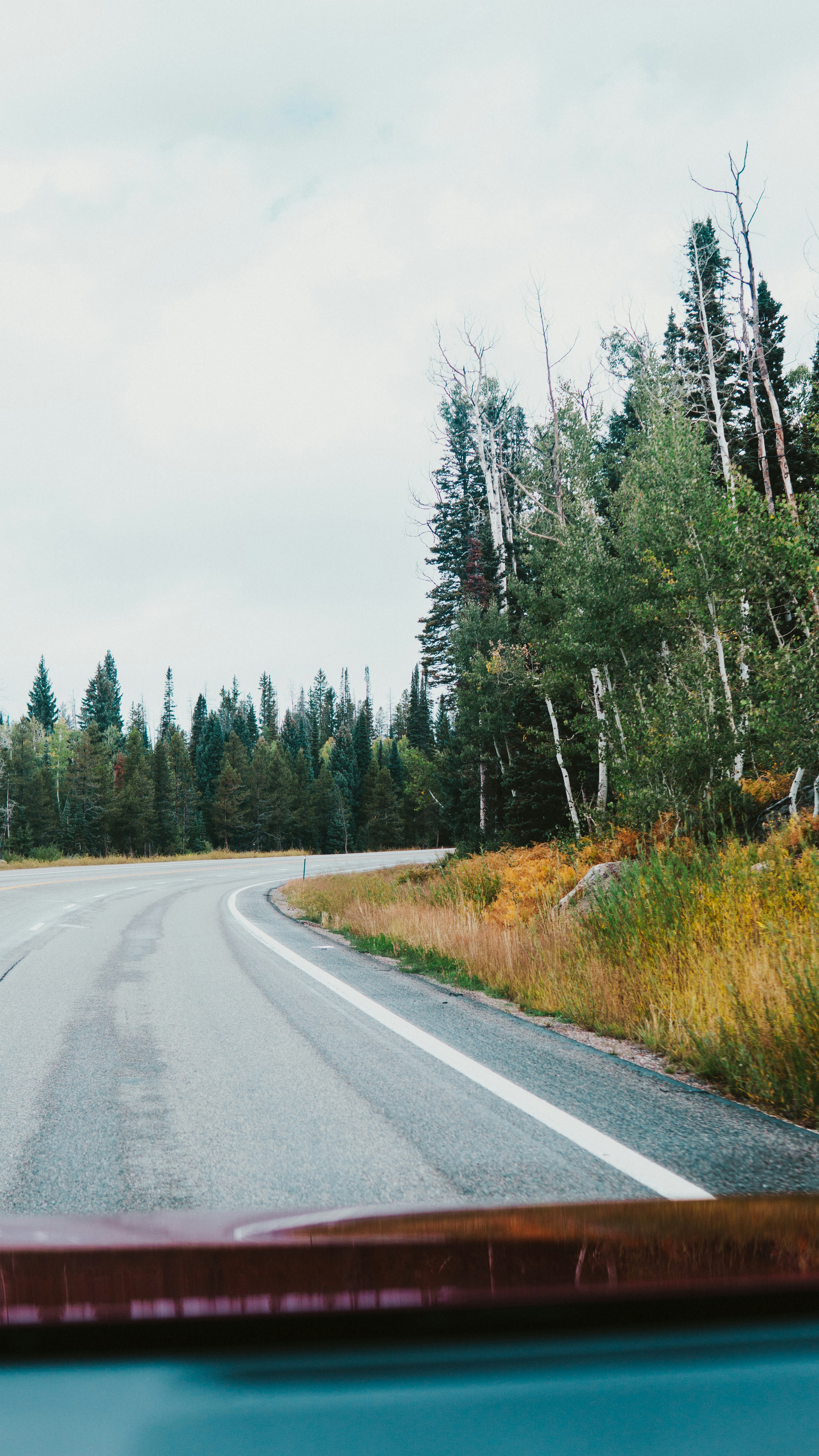 Photo by nickfuentes_