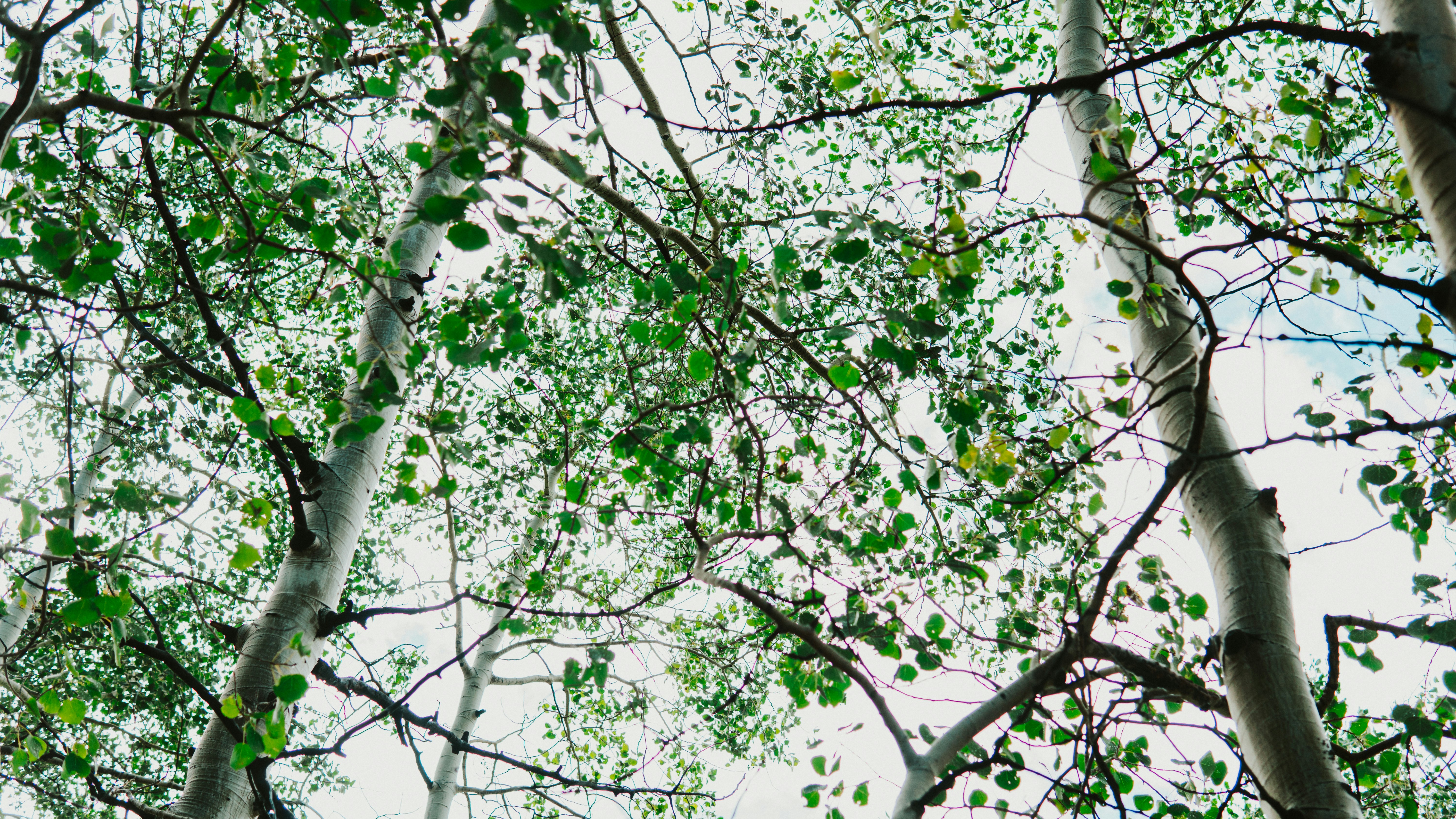 Photo by nickfuentes_