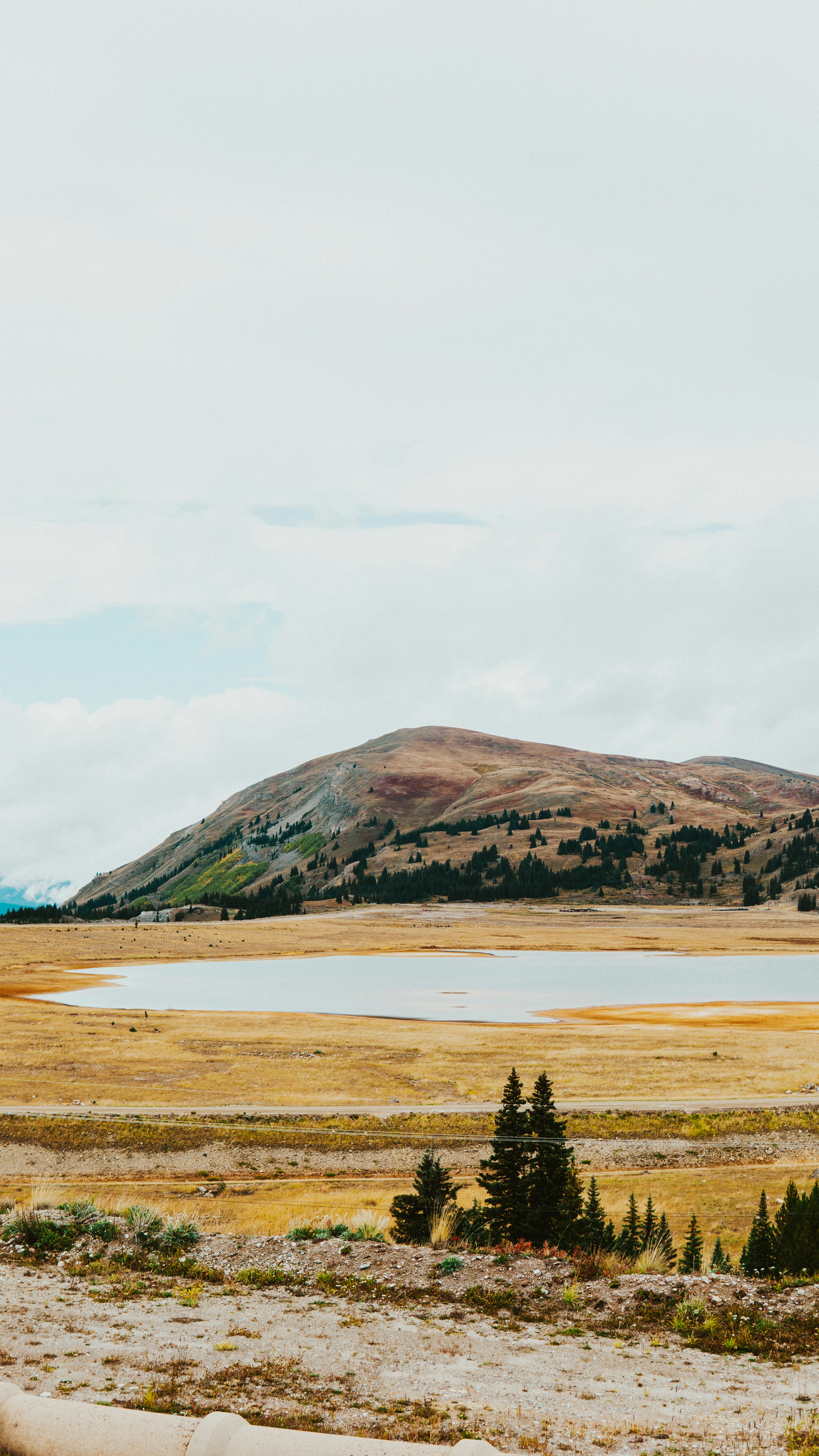 Photo by nickfuentes_