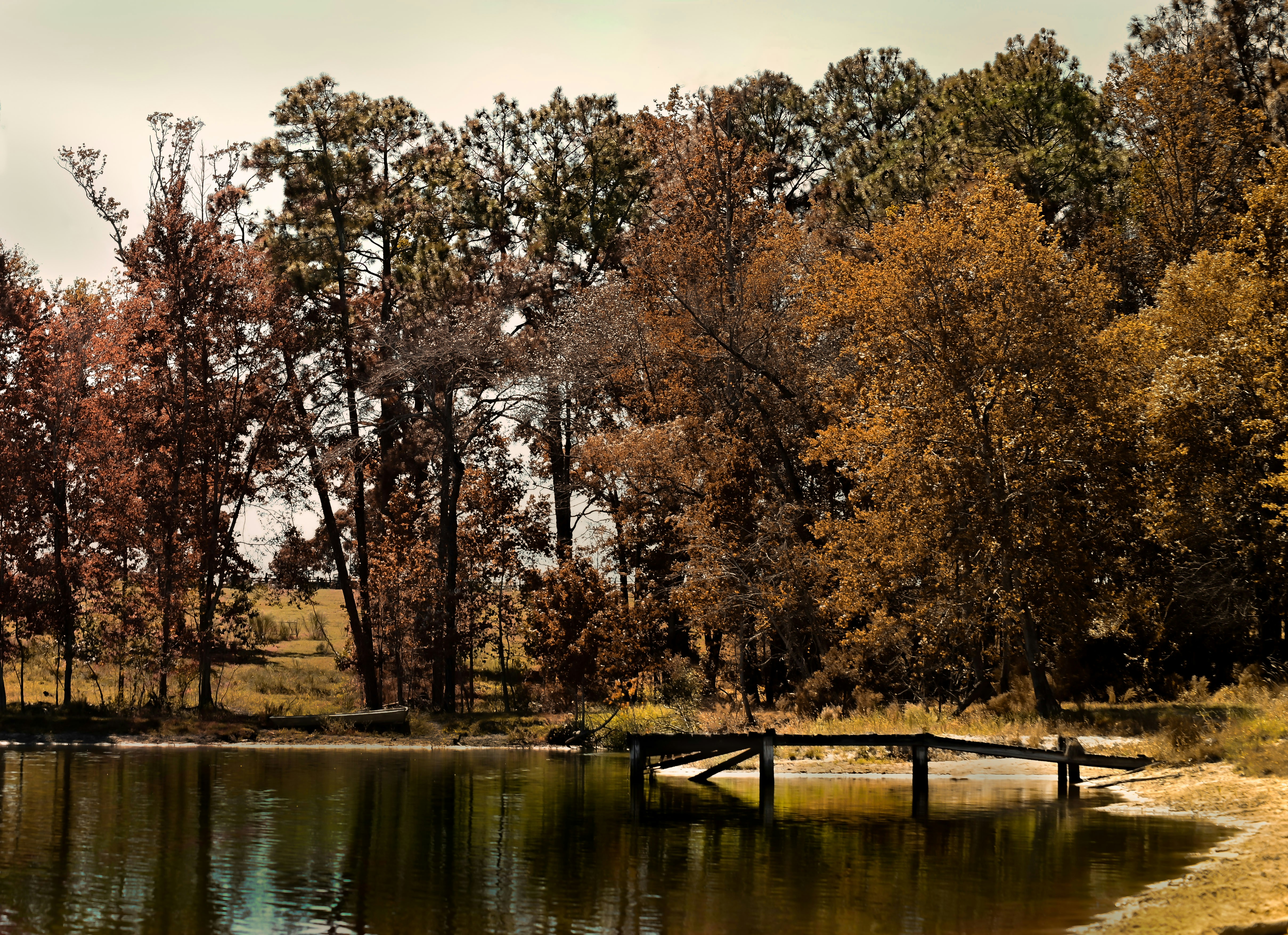 Photo by jaimeeshaye