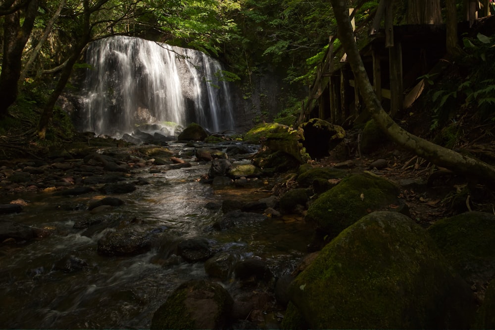 a waterfall in a forest