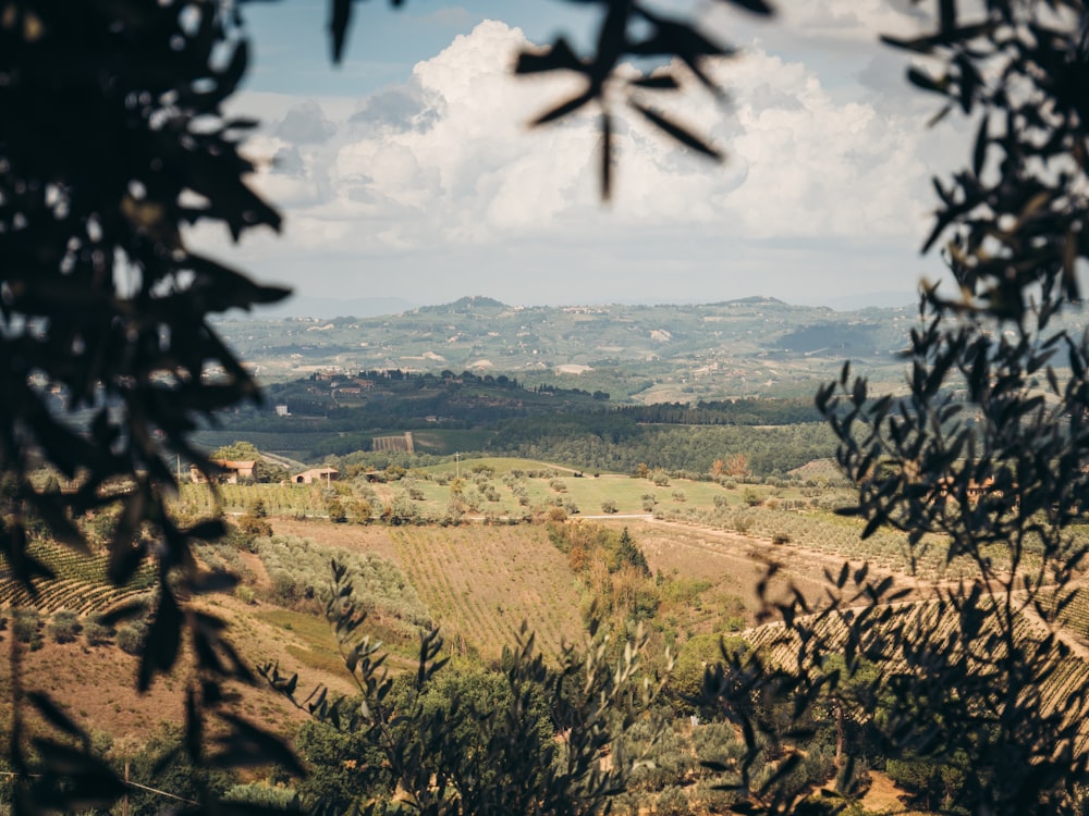 a view of a valley with trees and mountains in the background