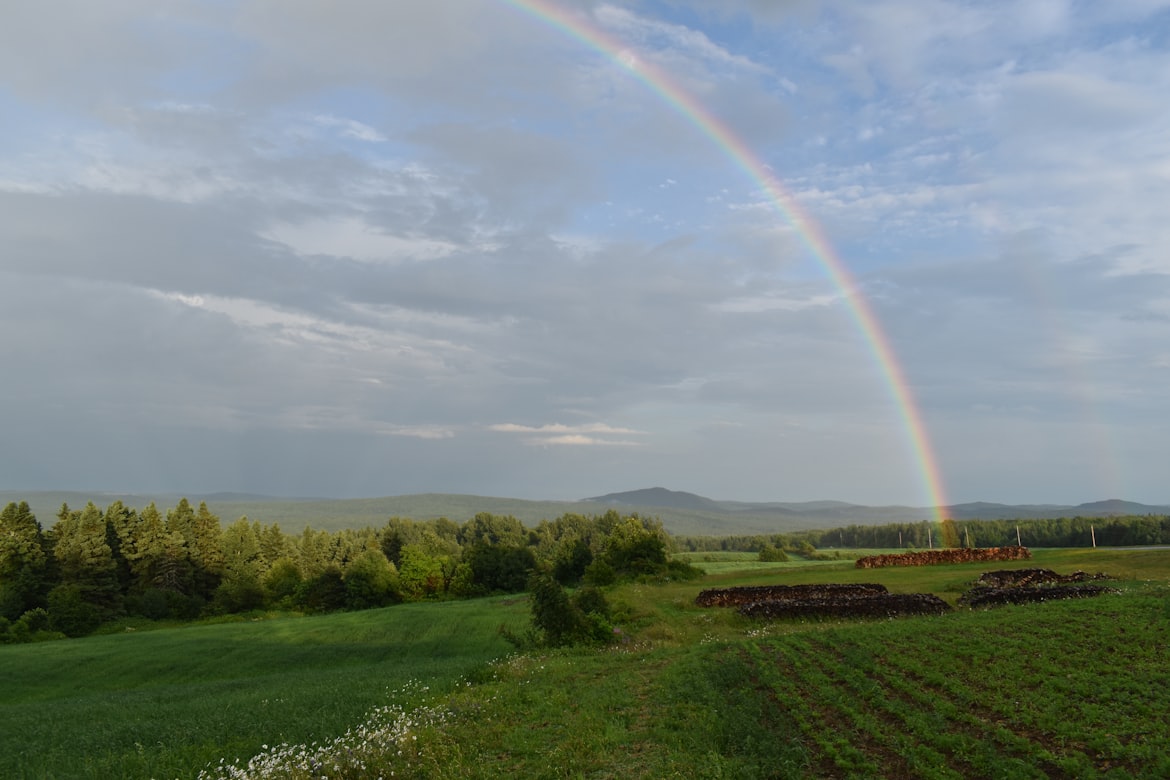 a rainbow over a field