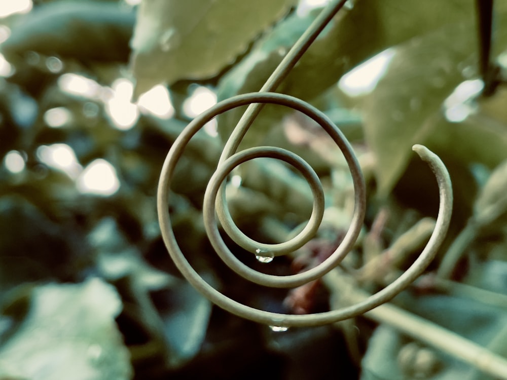 a close up of a metal ring