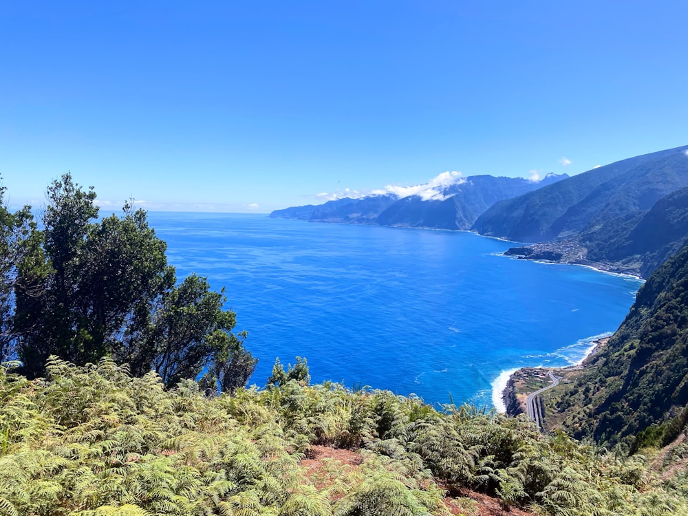 a body of water surrounded by trees and mountains