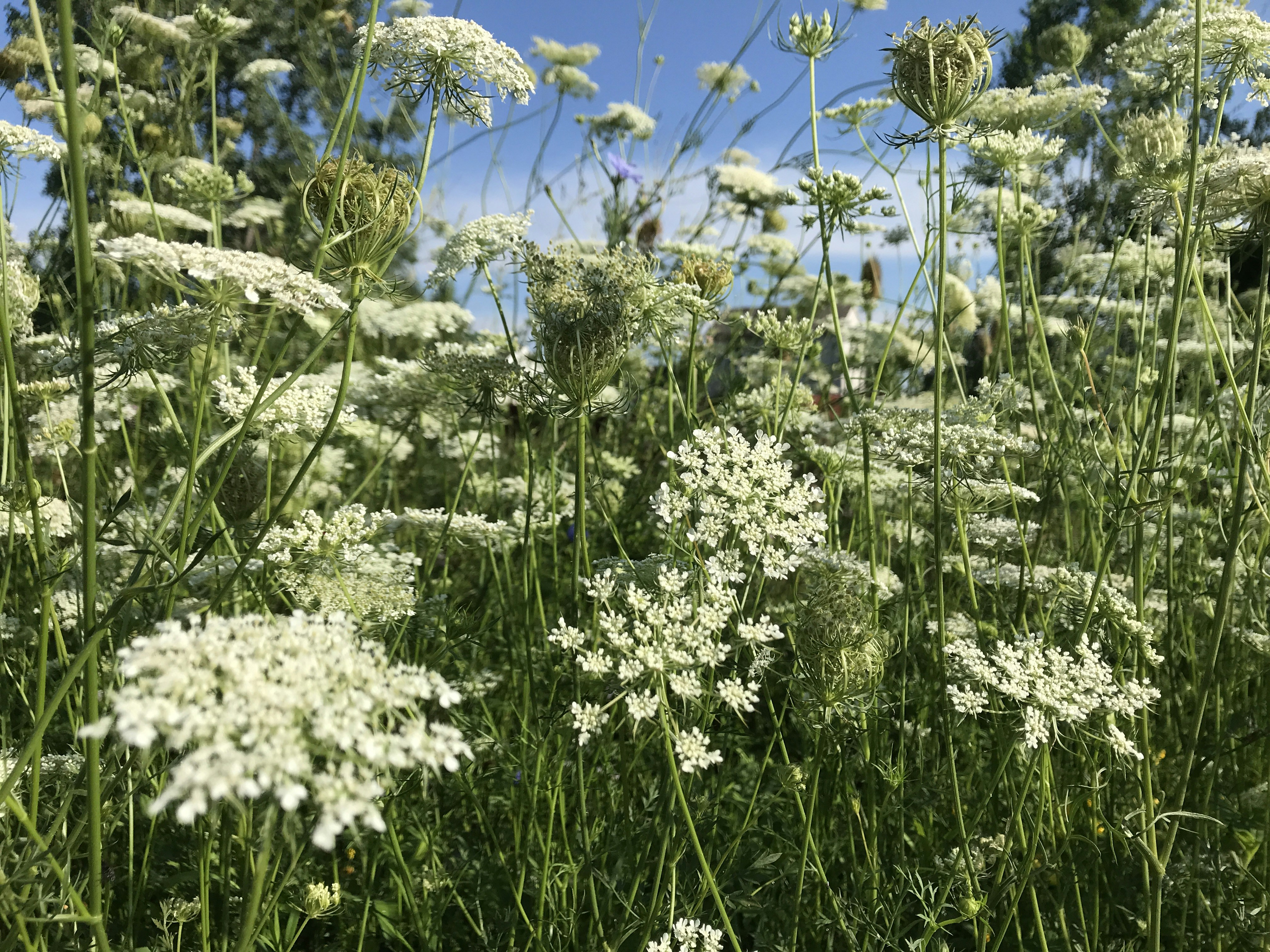 Photo by sayakaganz22