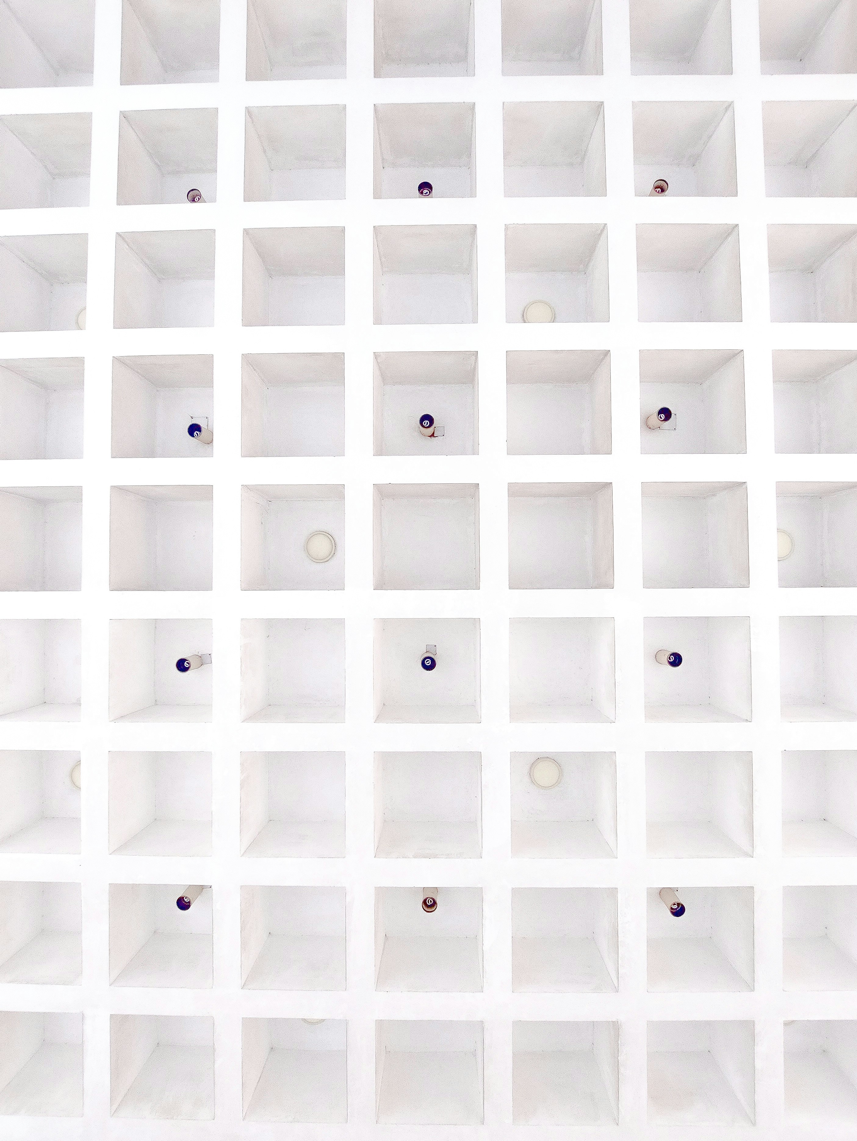 Photo by toushifalam