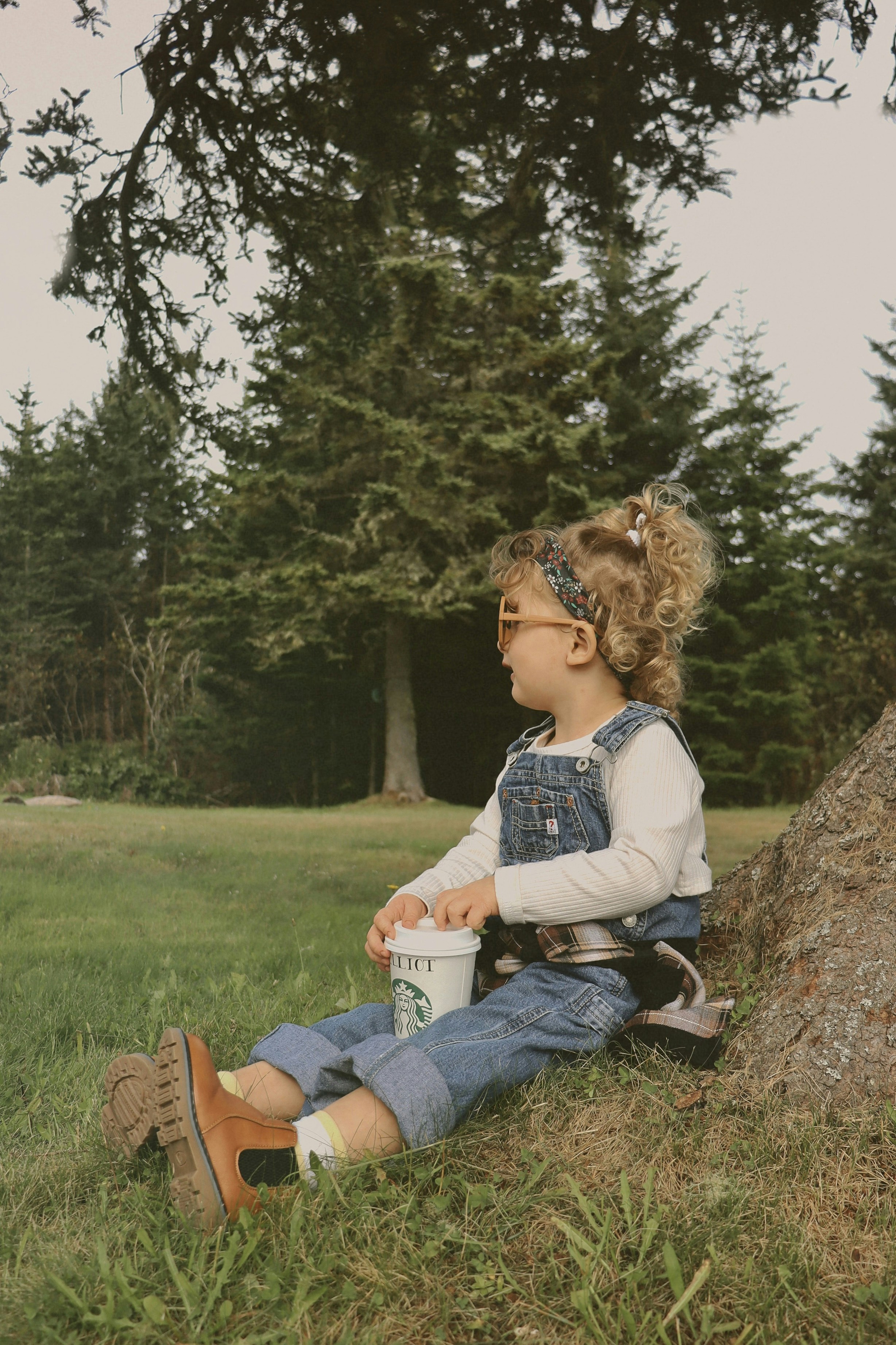 a person sitting on grass with a tree in the background
