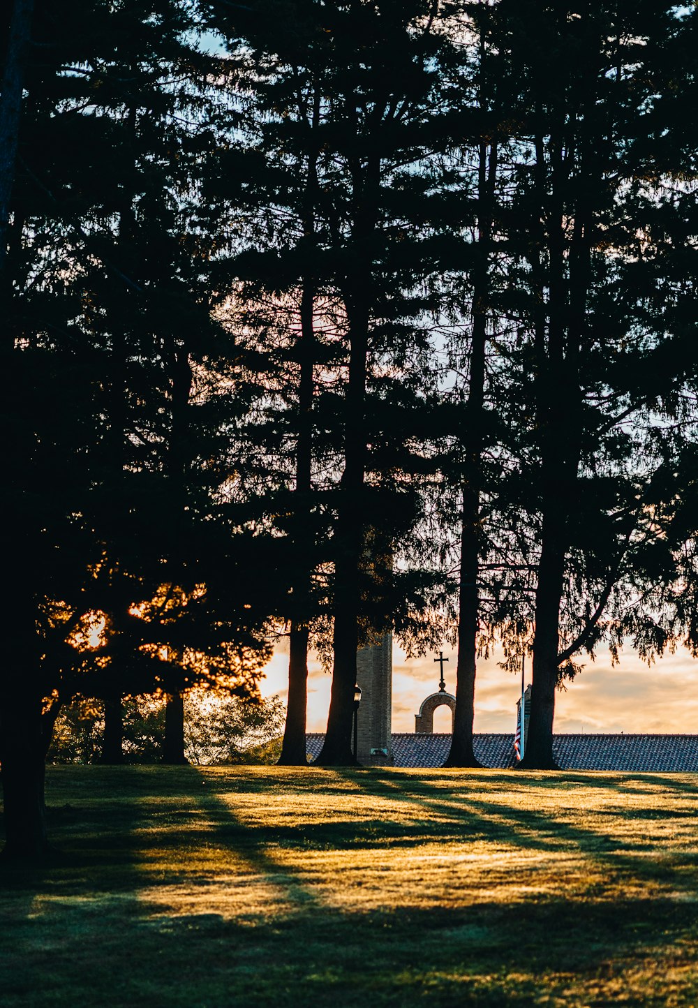 a grassy area with trees around it