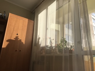 A wooden wardrobe stands next to a large window covered by sheer curtains. Sunlight filters through the window, casting interesting shadows and highlighting a variety of potted plants lined up on the windowsill. The setting suggests a cozy, sunlit room.