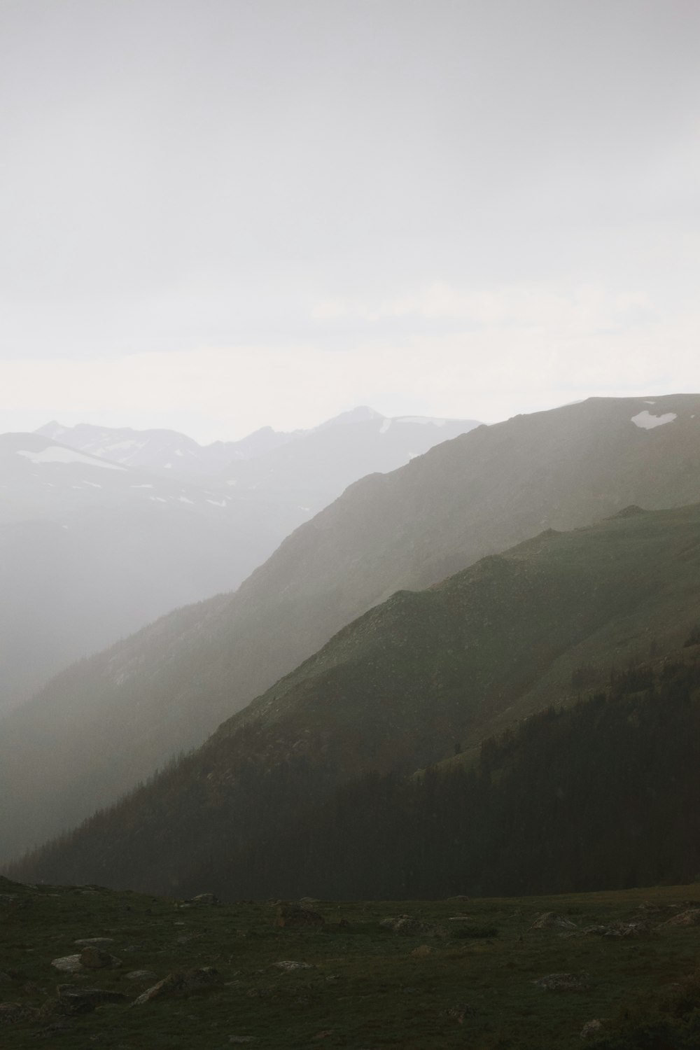 a grassy hill with fog