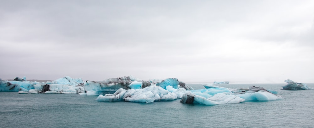 icebergs in the water