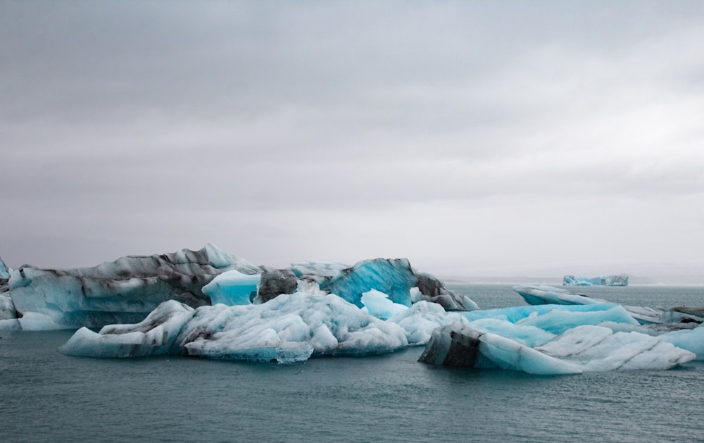 icebergs in the water