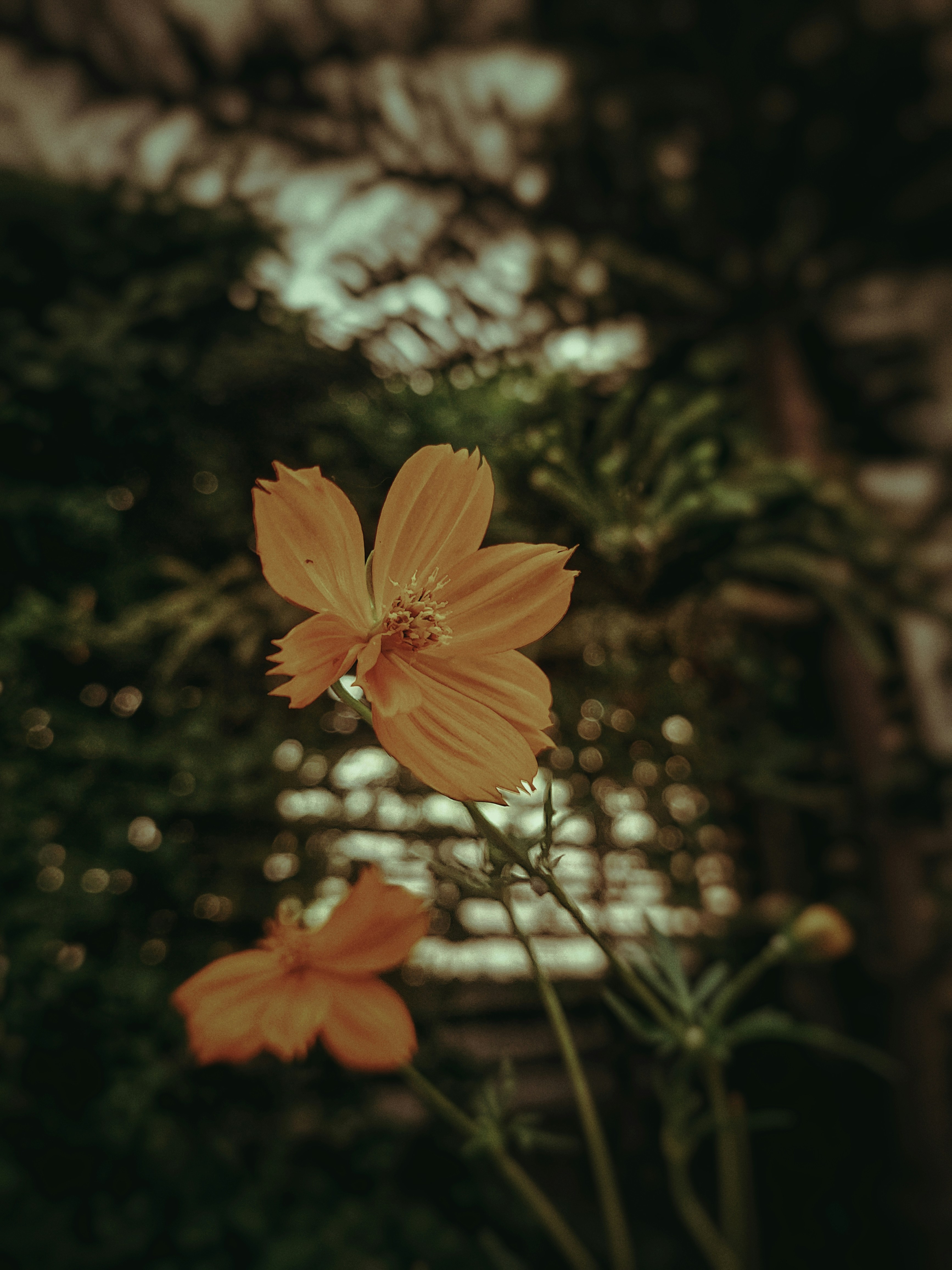 Photo by shotbywoliul