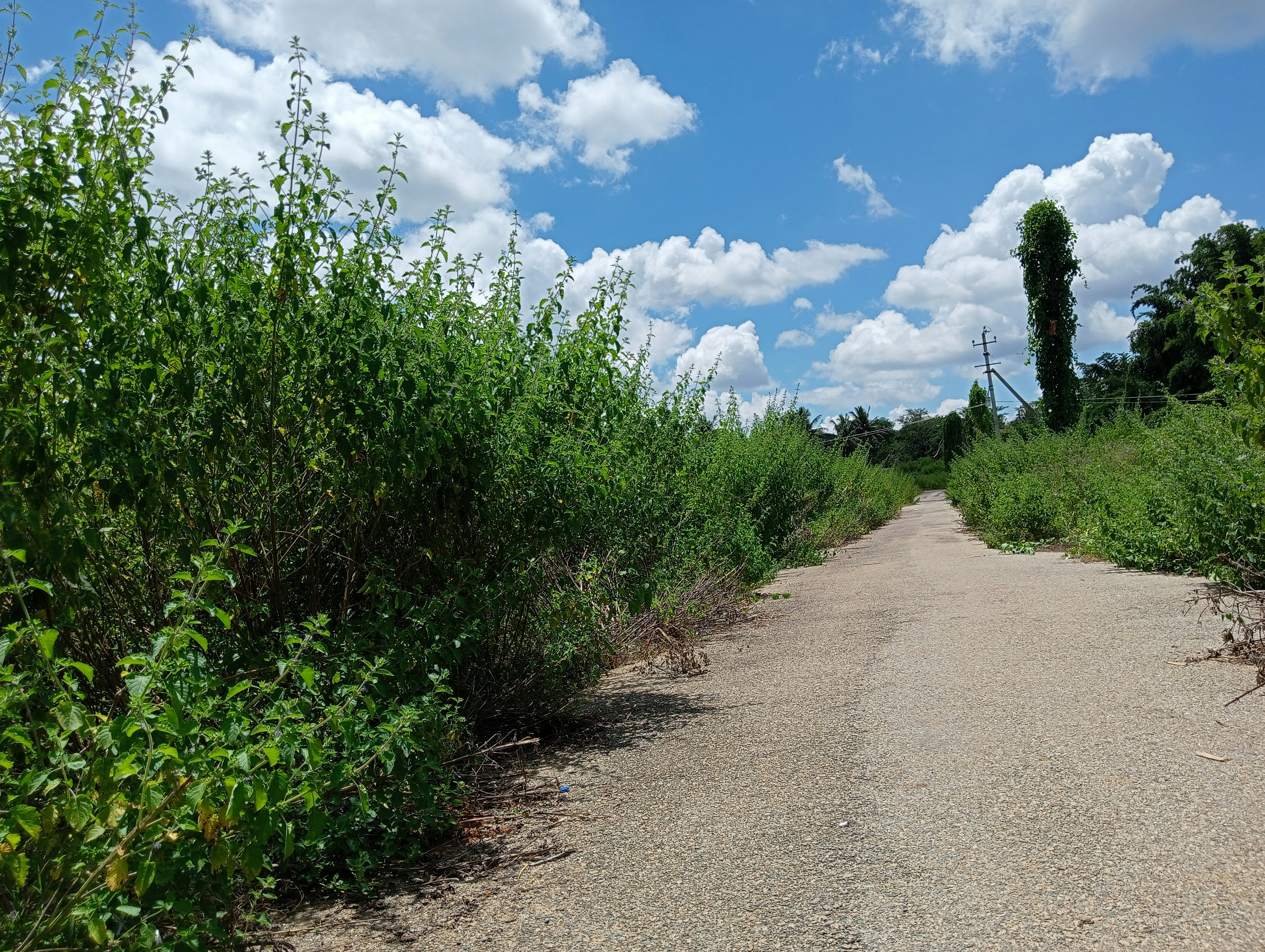 Photo by sayatpramanam