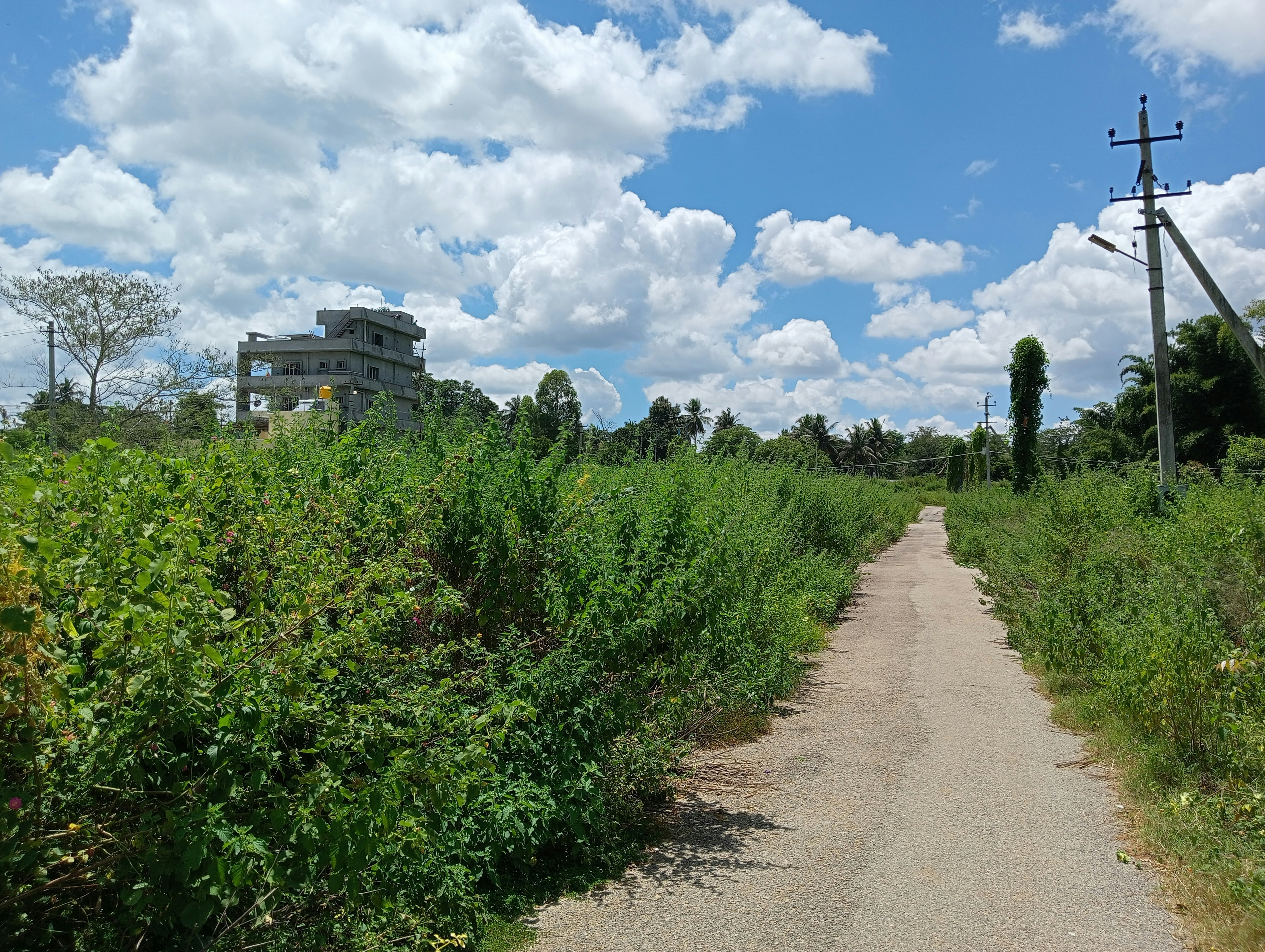 Photo by sayatpramanam