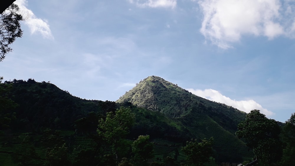 a mountain with trees and blue sky