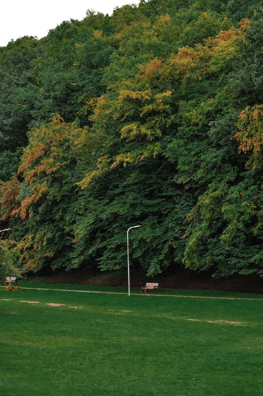 a golf course with trees around it