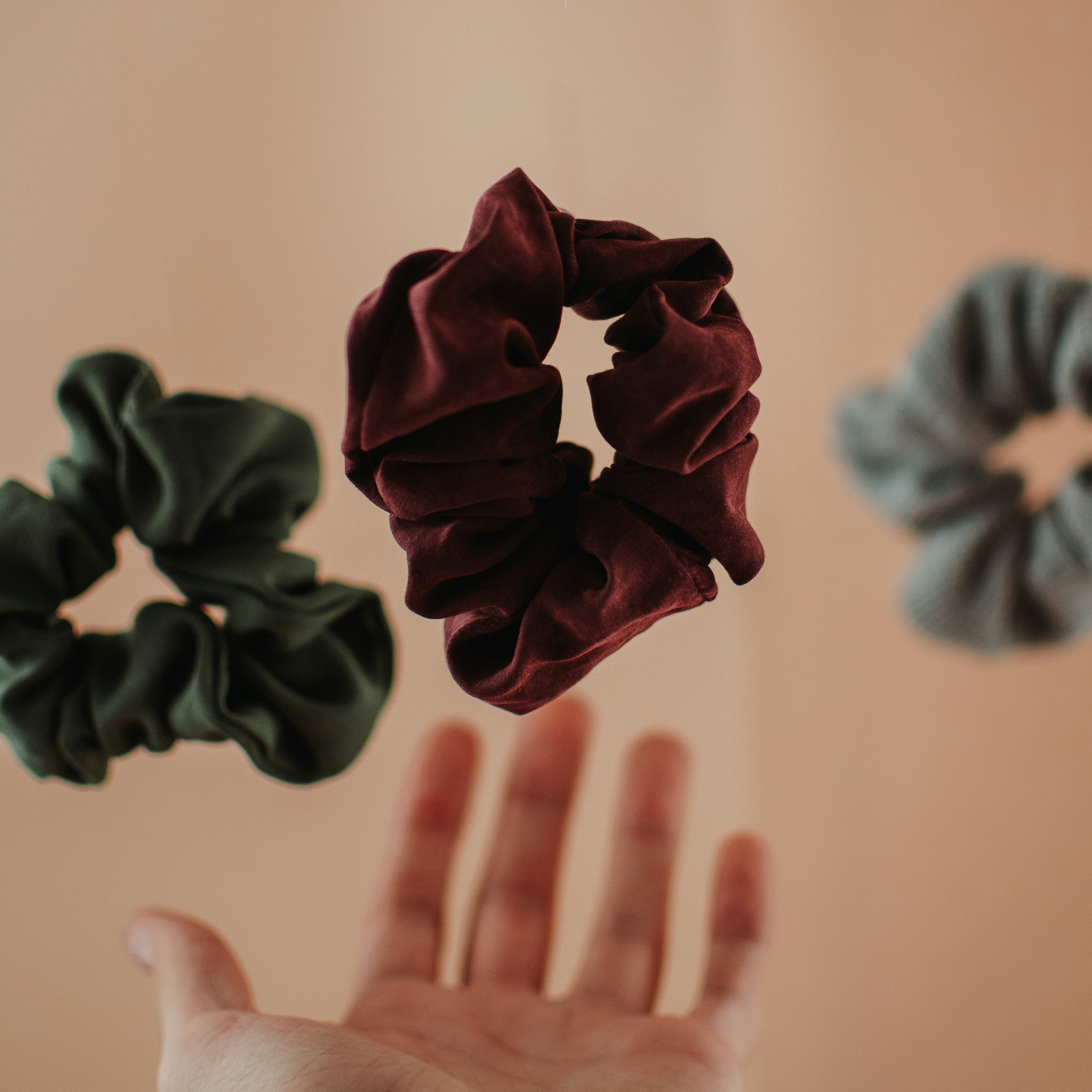 a hand holding a bunch of red flowers