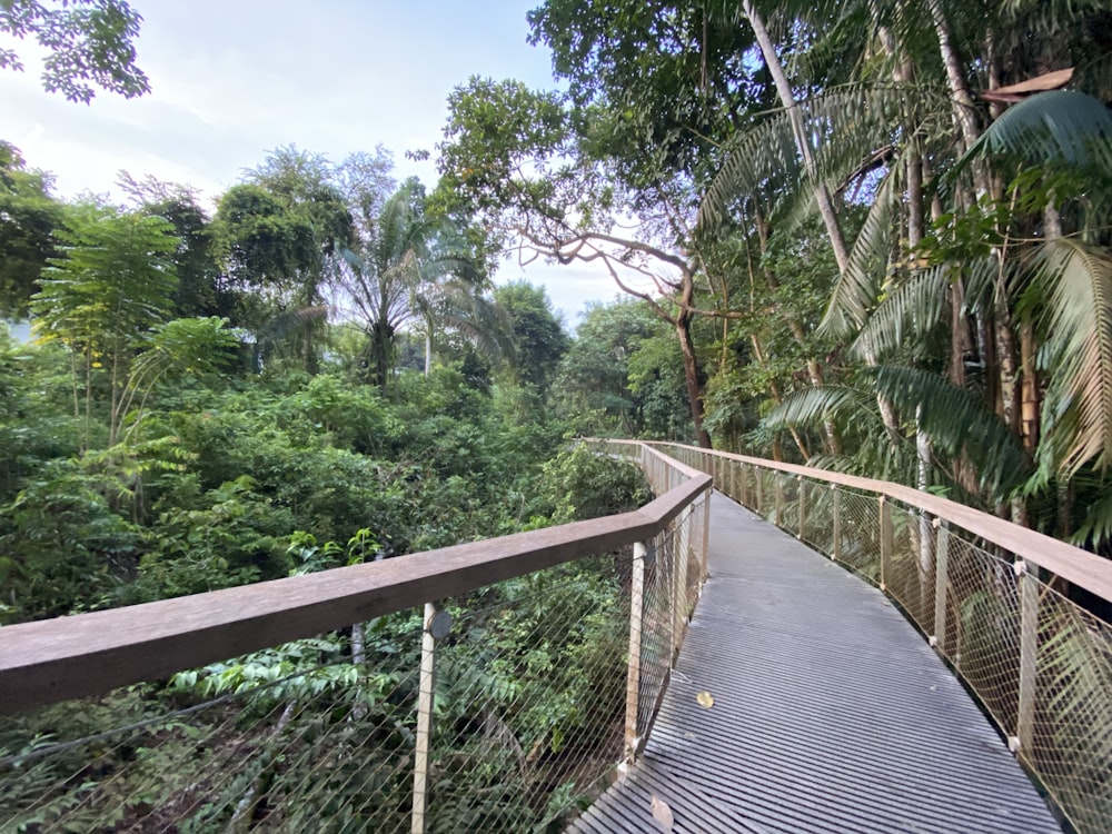 a wooden bridge over a river